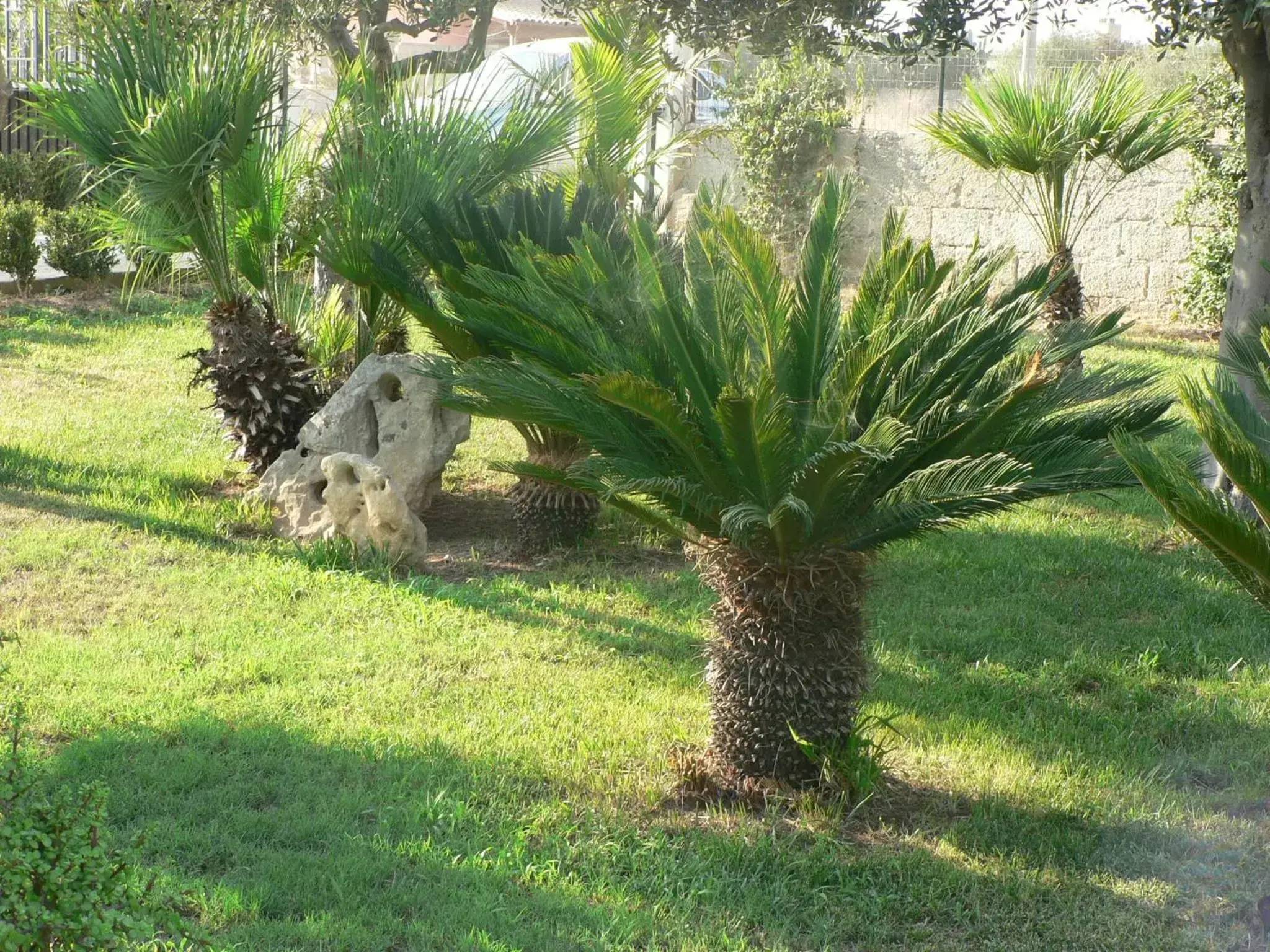 Garden in B&B Villa Francesco