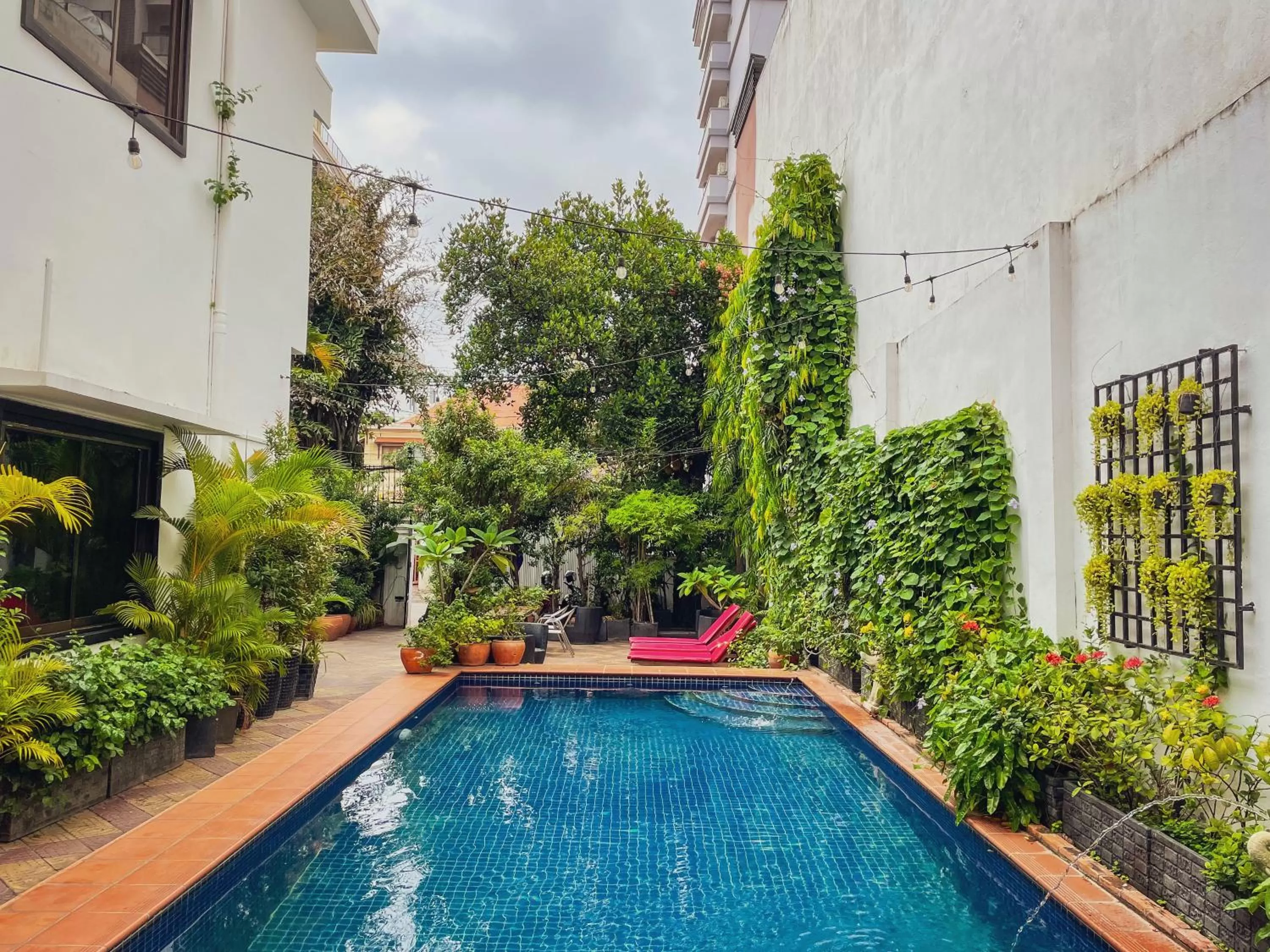 Swimming pool in Birdcage Boutique