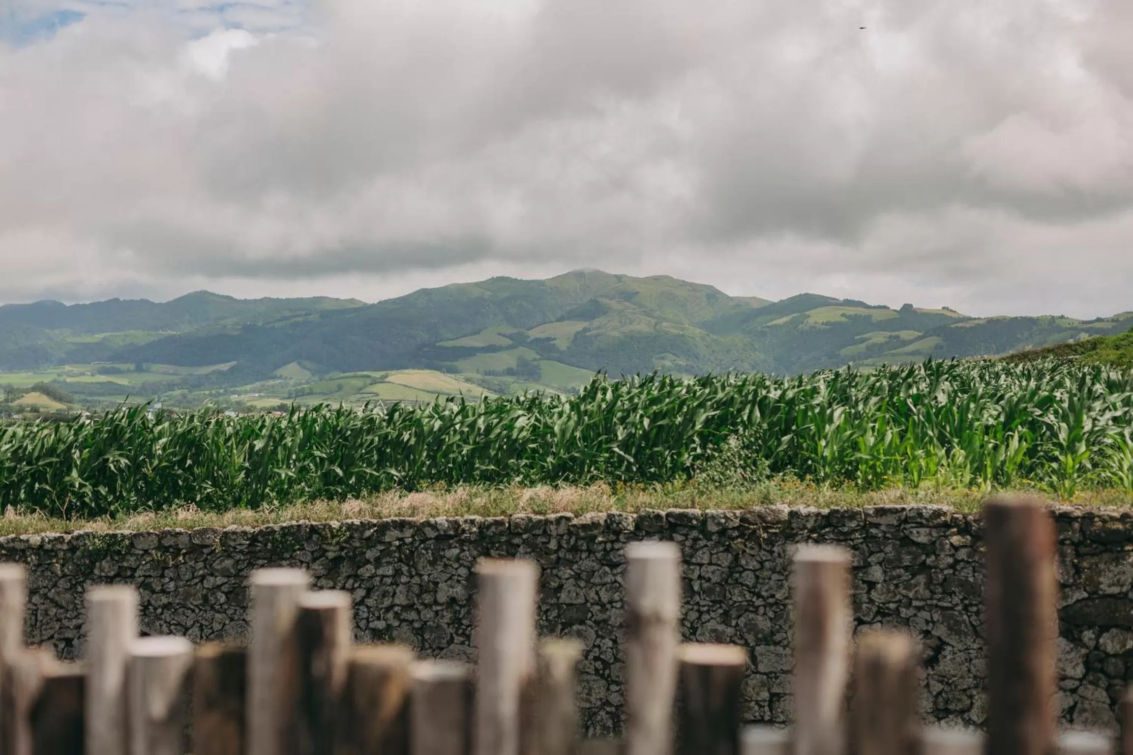 Mountain view in Santa Barbara Eco-Beach Resort