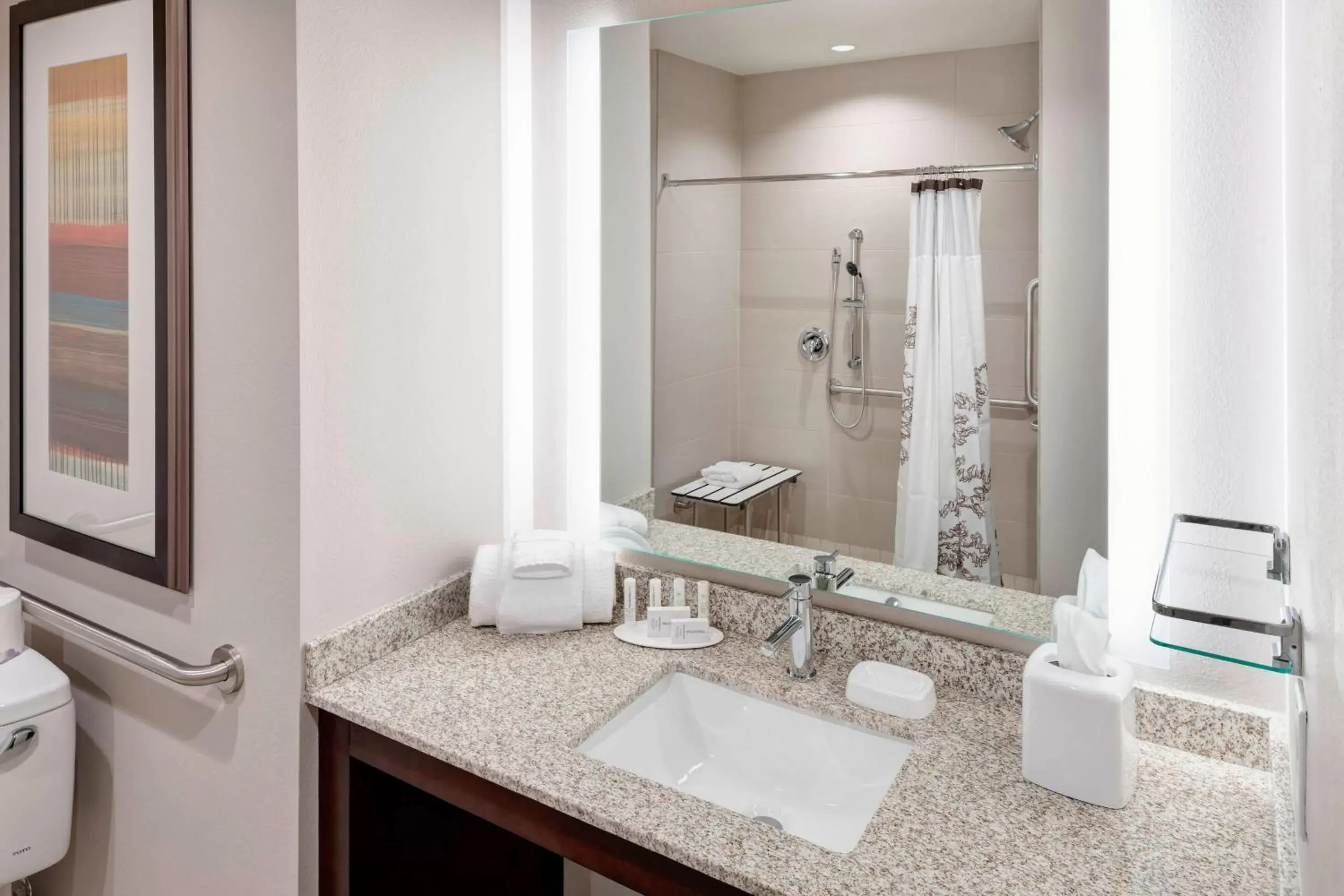 Bathroom in Residence Inn by Marriott Dallas Plano/Richardson