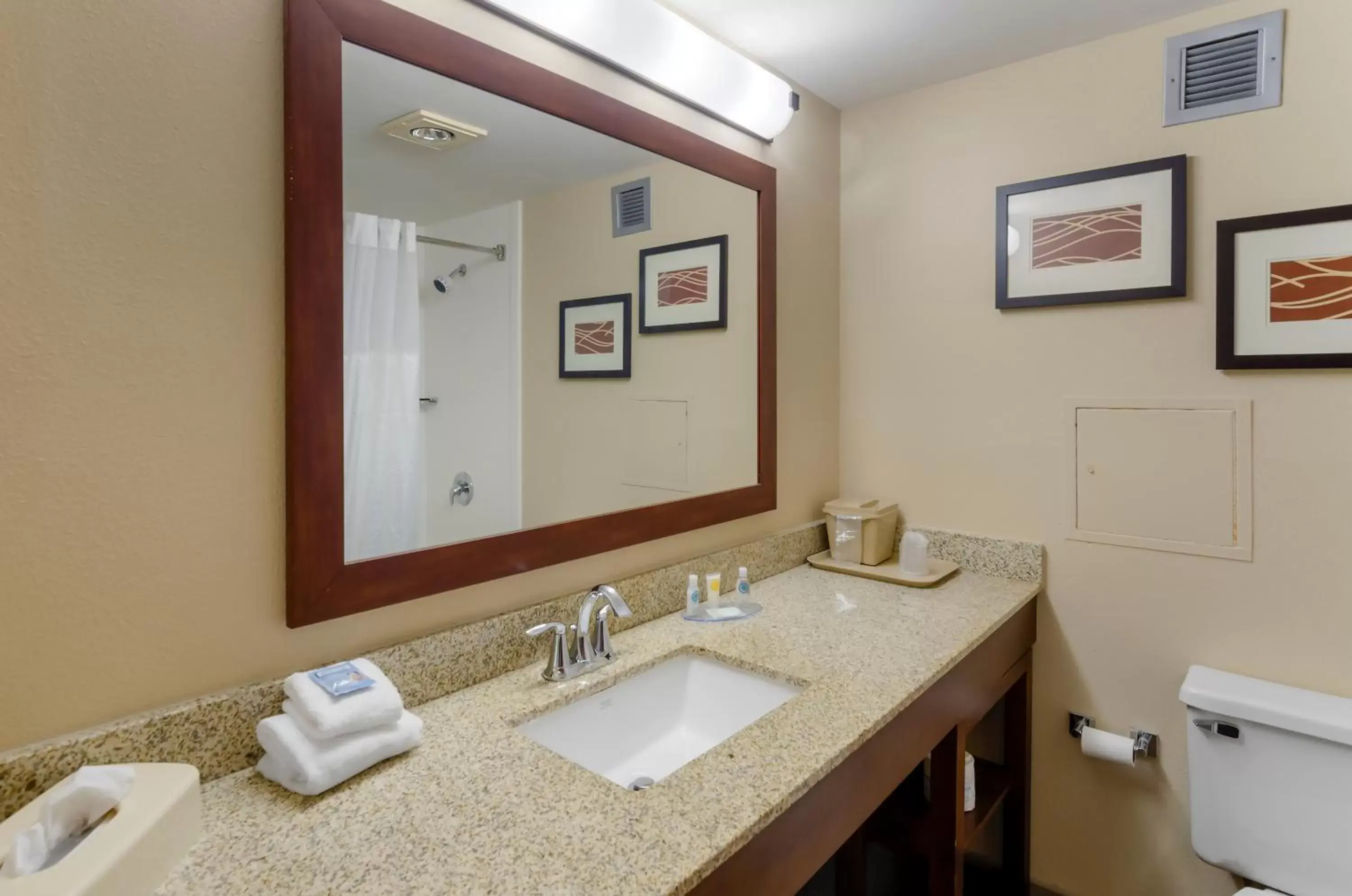 Bathroom in Comfort Inn Blacksburg University Area