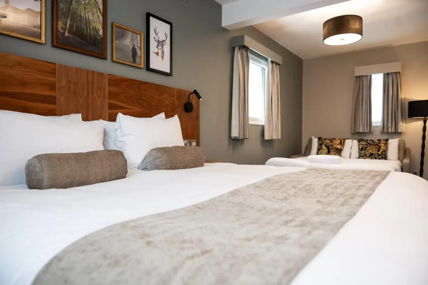 Family Room in The Springfield Inn by Innkeeper's Collection Family Room in The Springfield Inn by Innkeeper's Collection