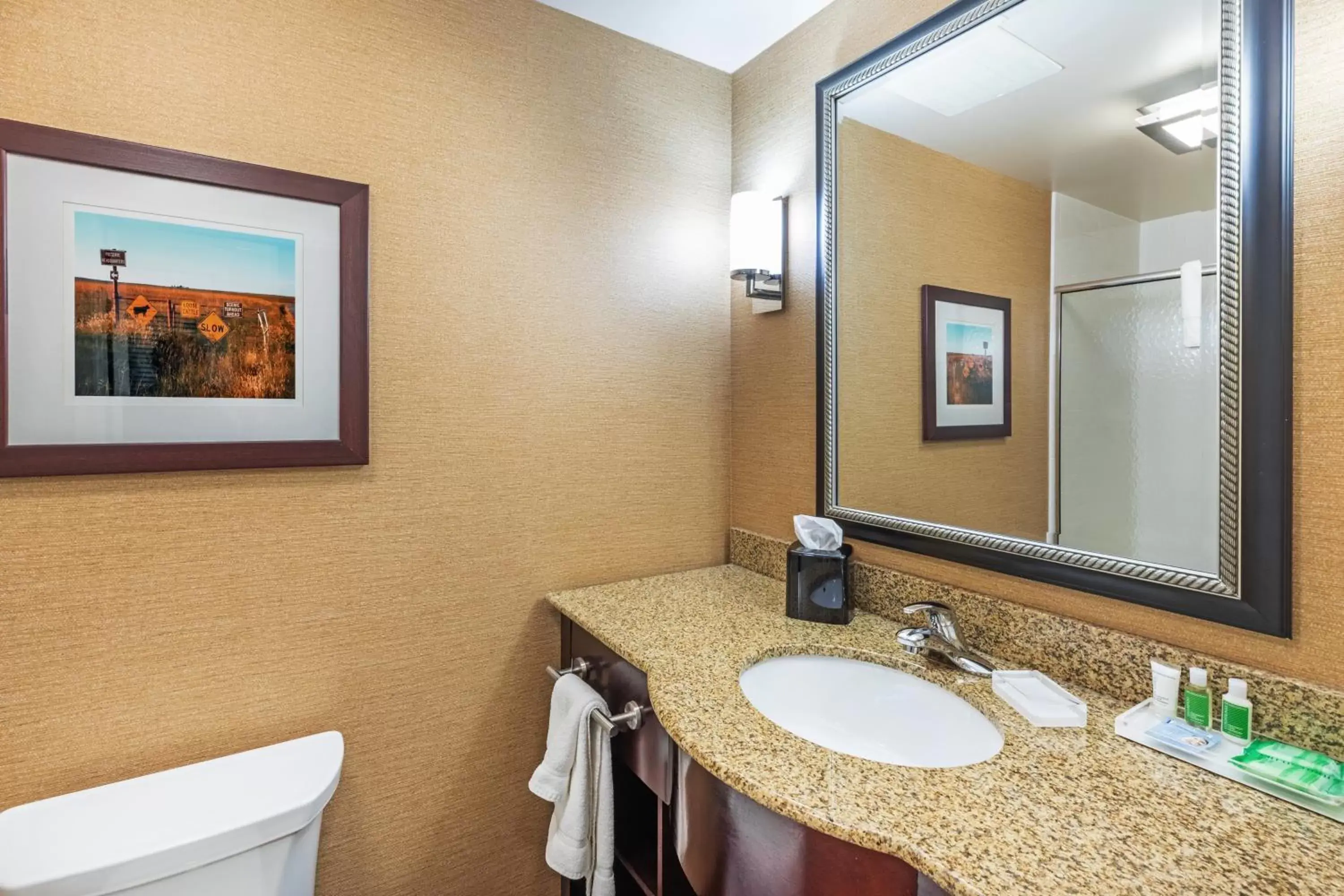 Photo of the whole room, Bathroom in Holiday Inn Ardmore, an IHG Hotel