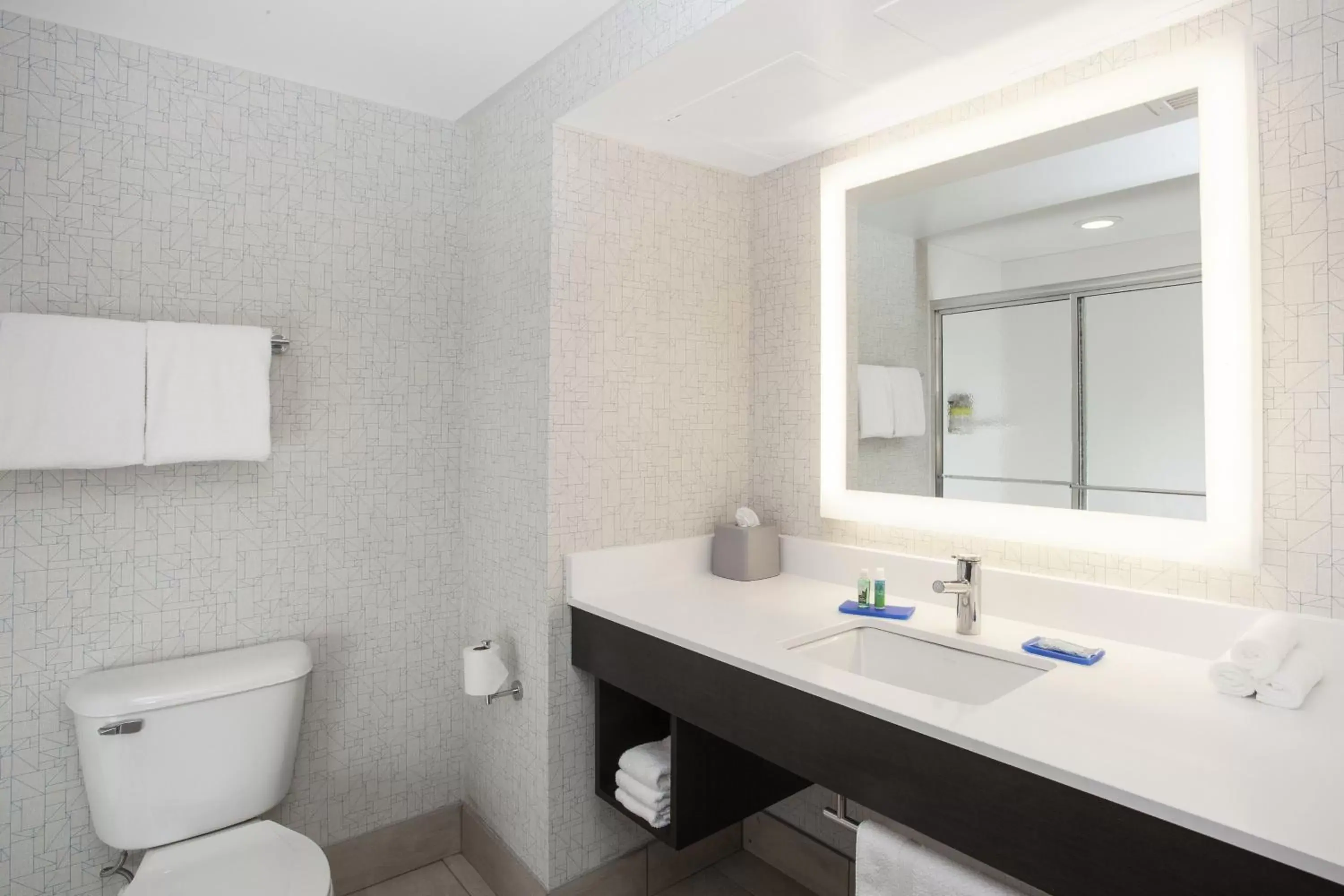 Bathroom in Holiday Inn Express & Suites Culpeper, an IHG Hotel