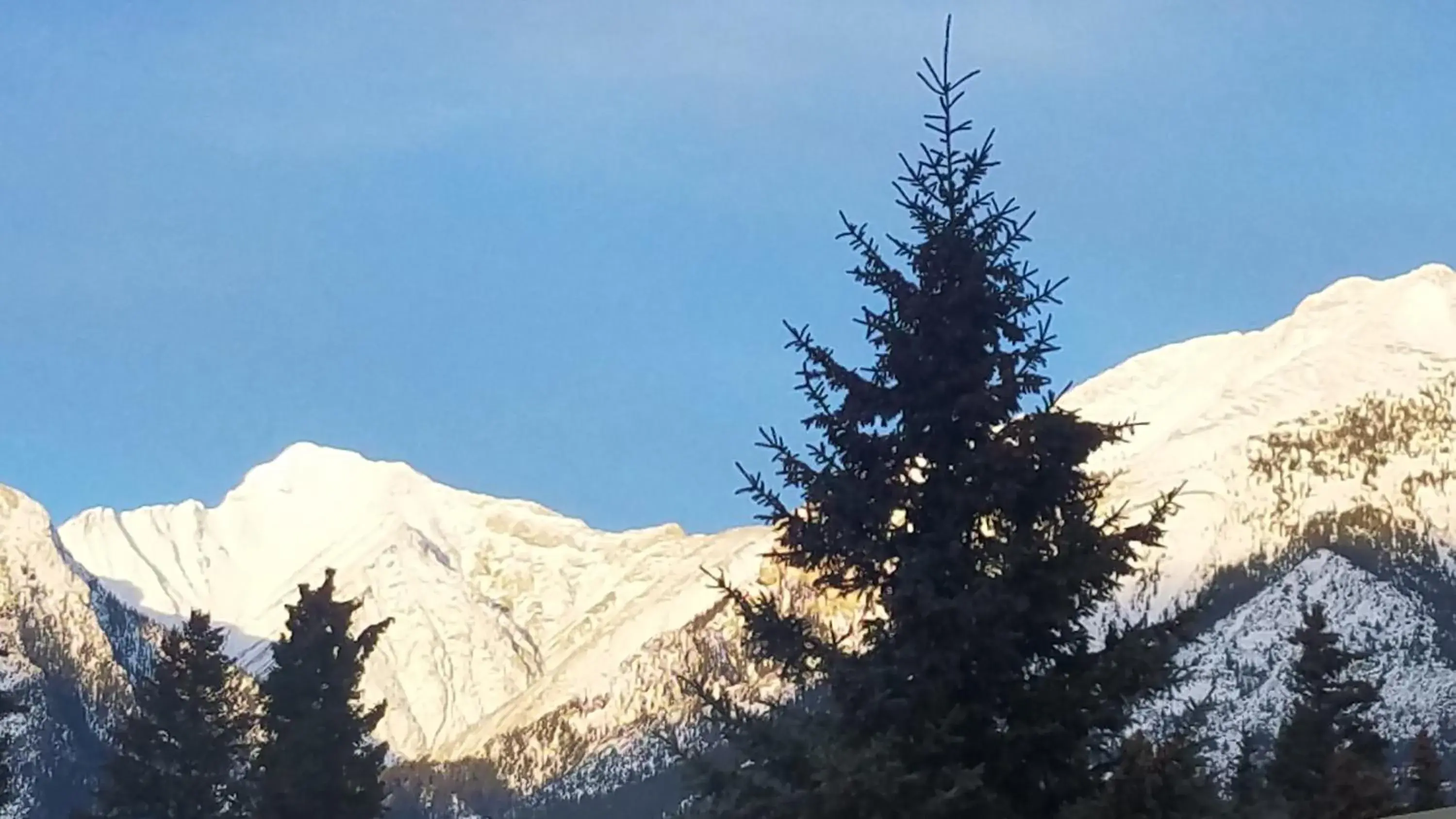 Natural landscape, Winter in Samesun Banff Hostel