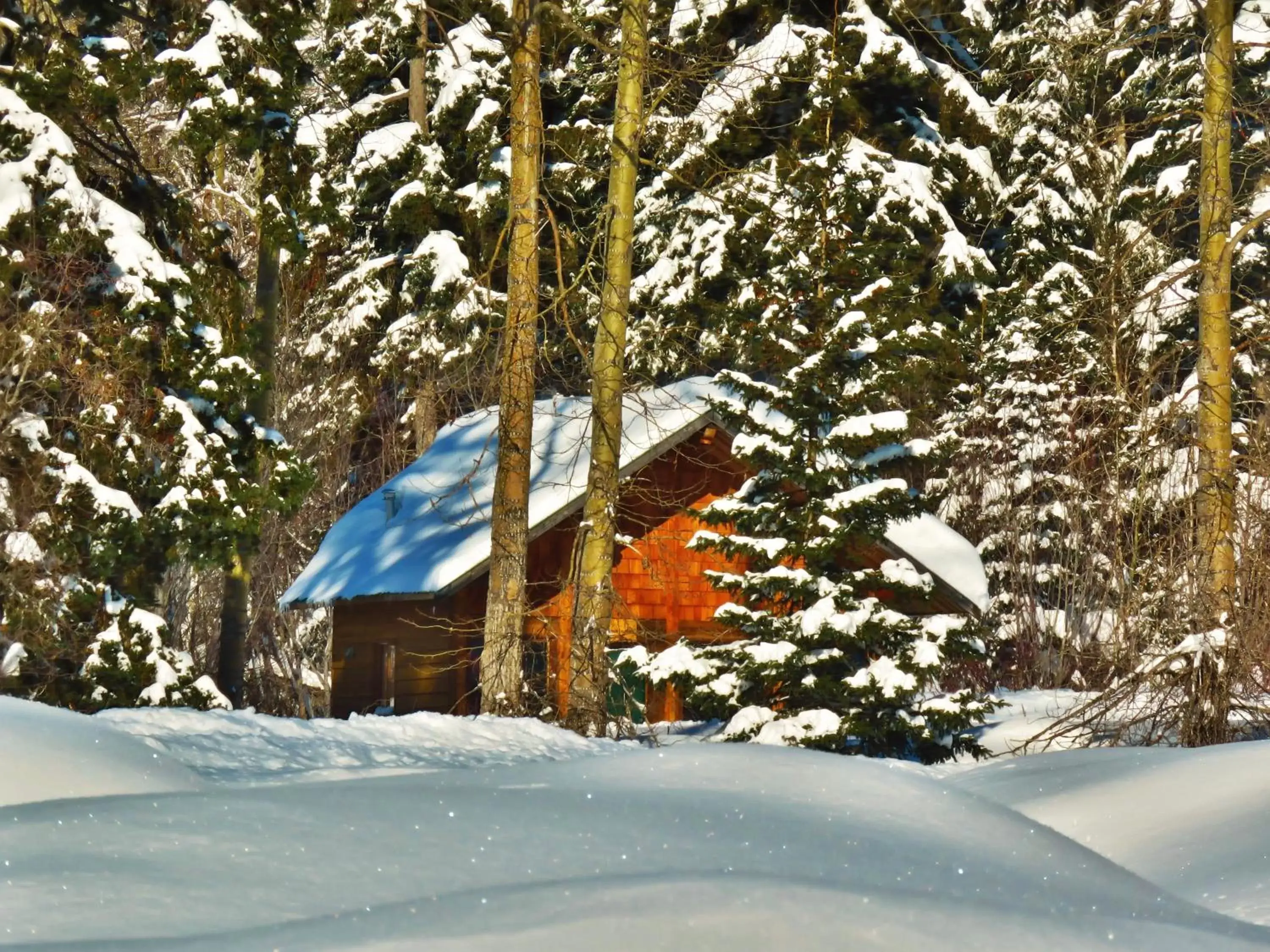 Facade/entrance, Winter in Rocky Ridge Resort-BC