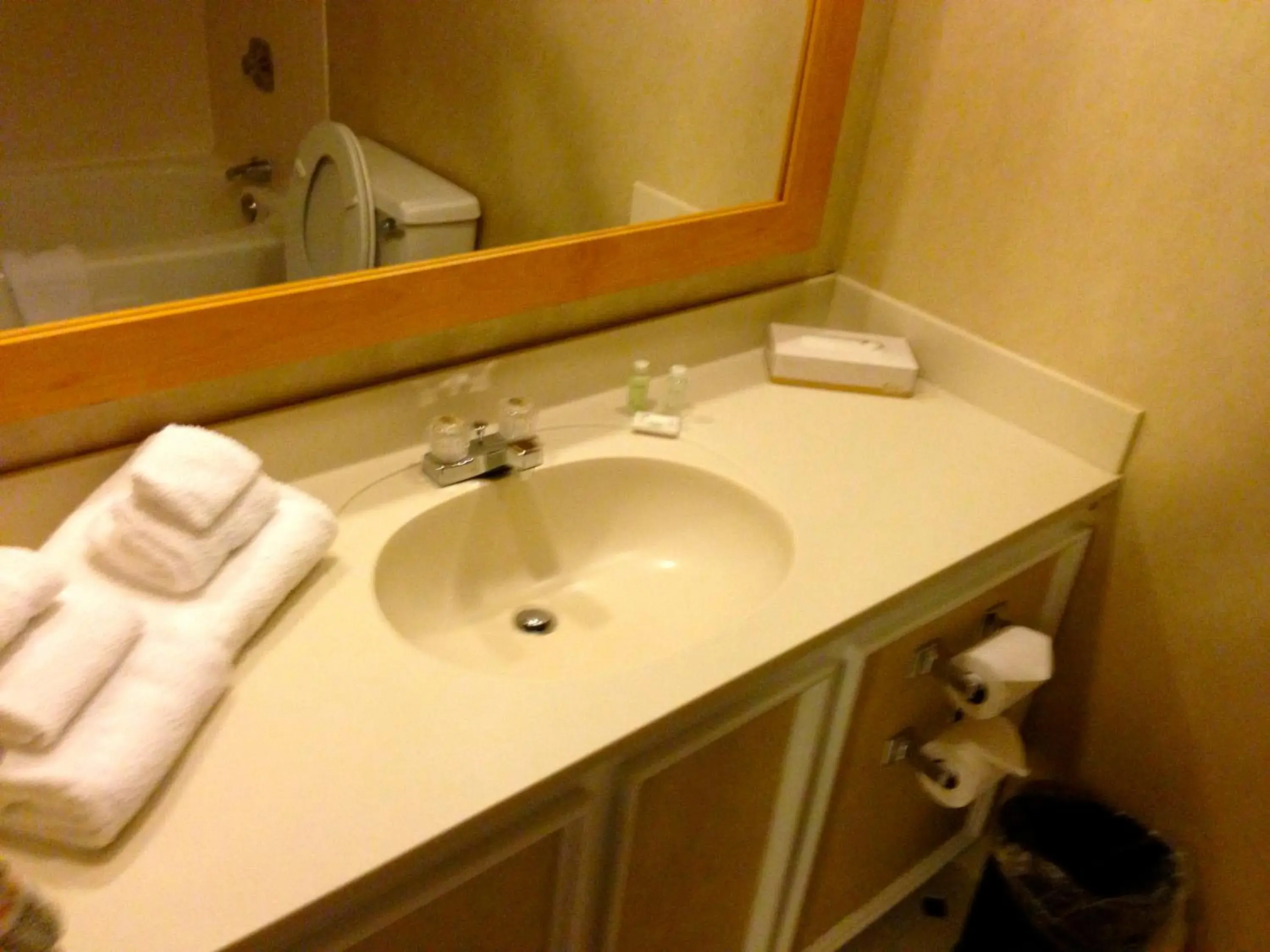 Bathroom in The Avalon Hotel and Conference Center