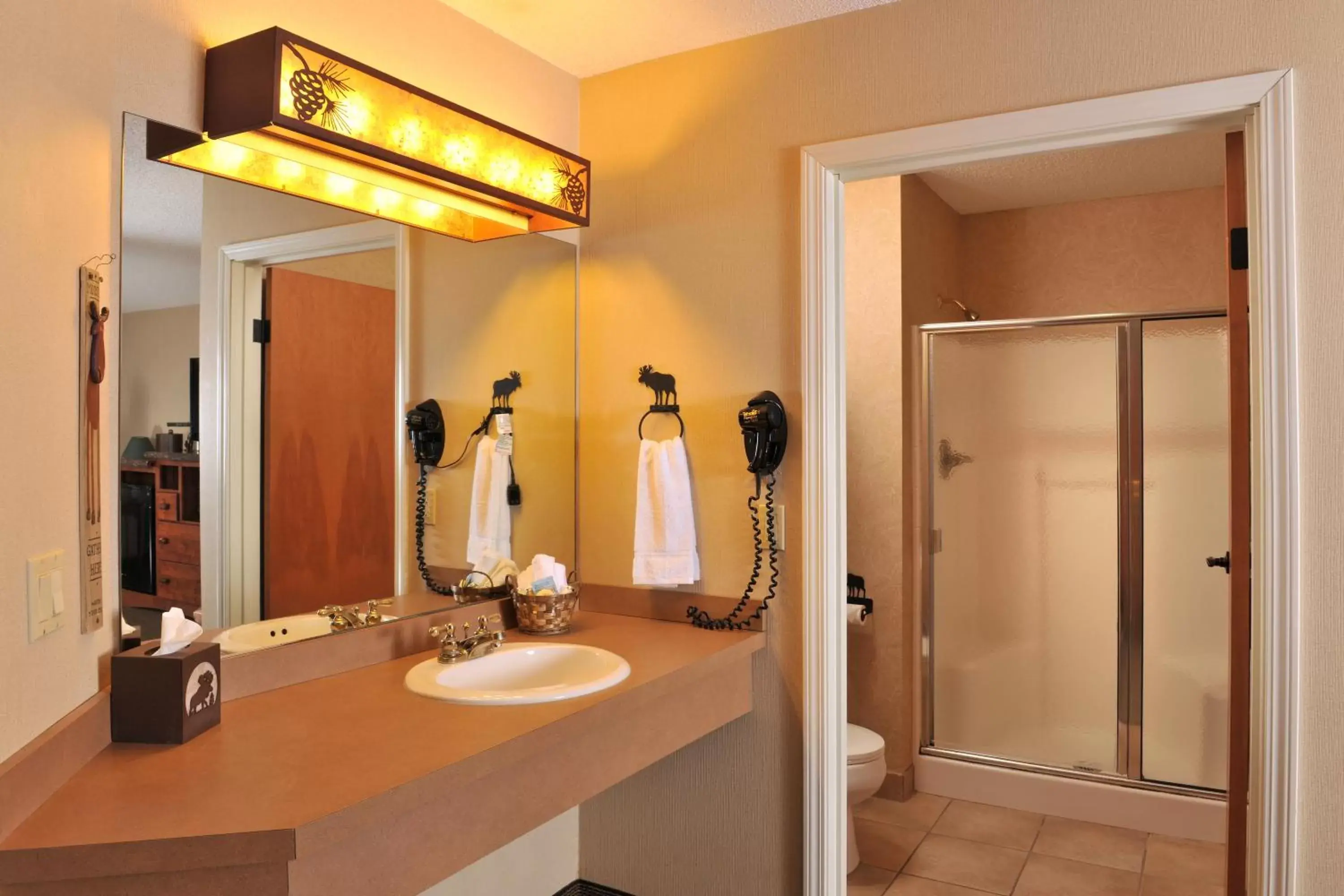 Bathroom in Stoney Creek Hotel Peoria