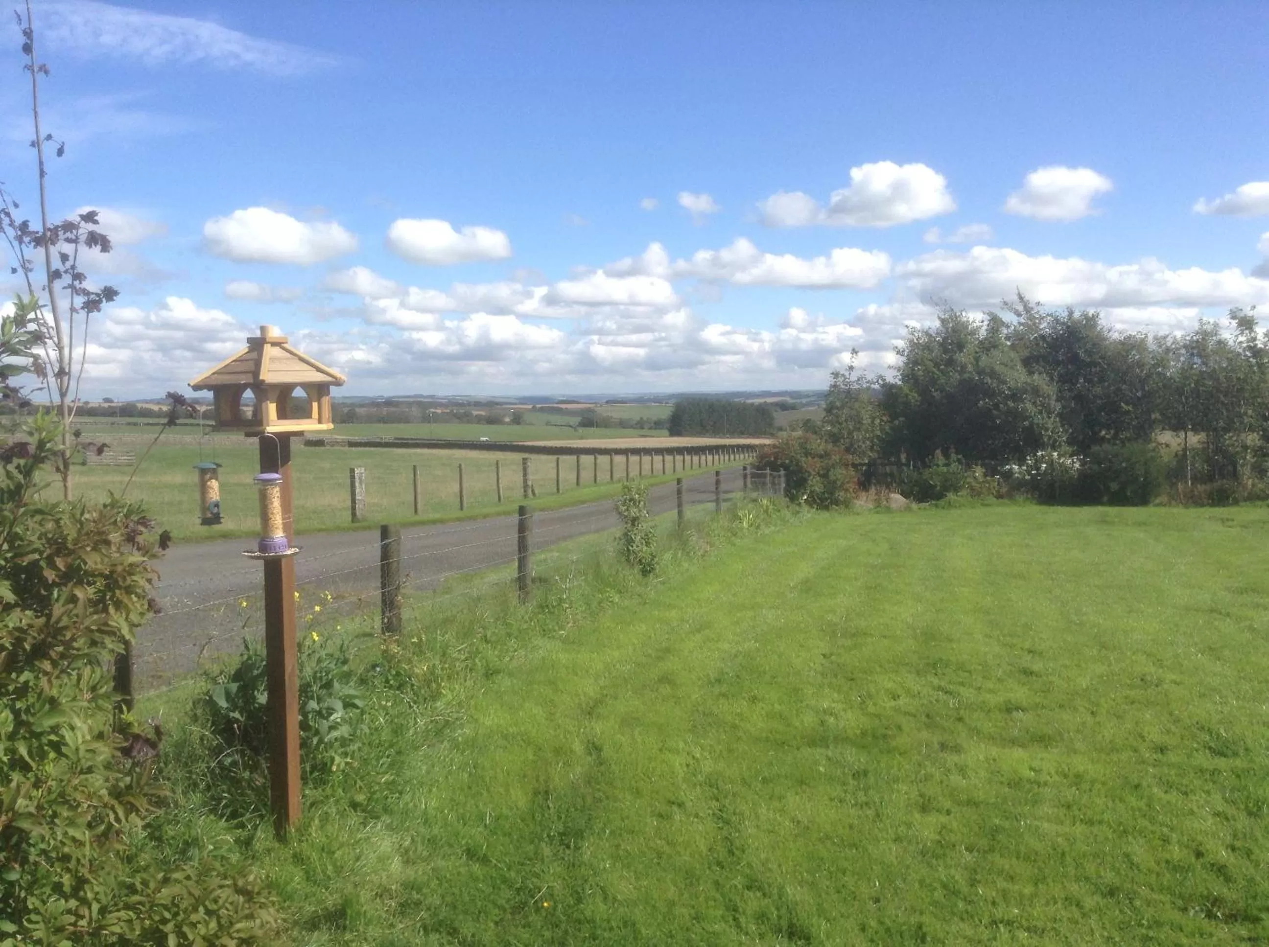 Property building in Bonners Lodge