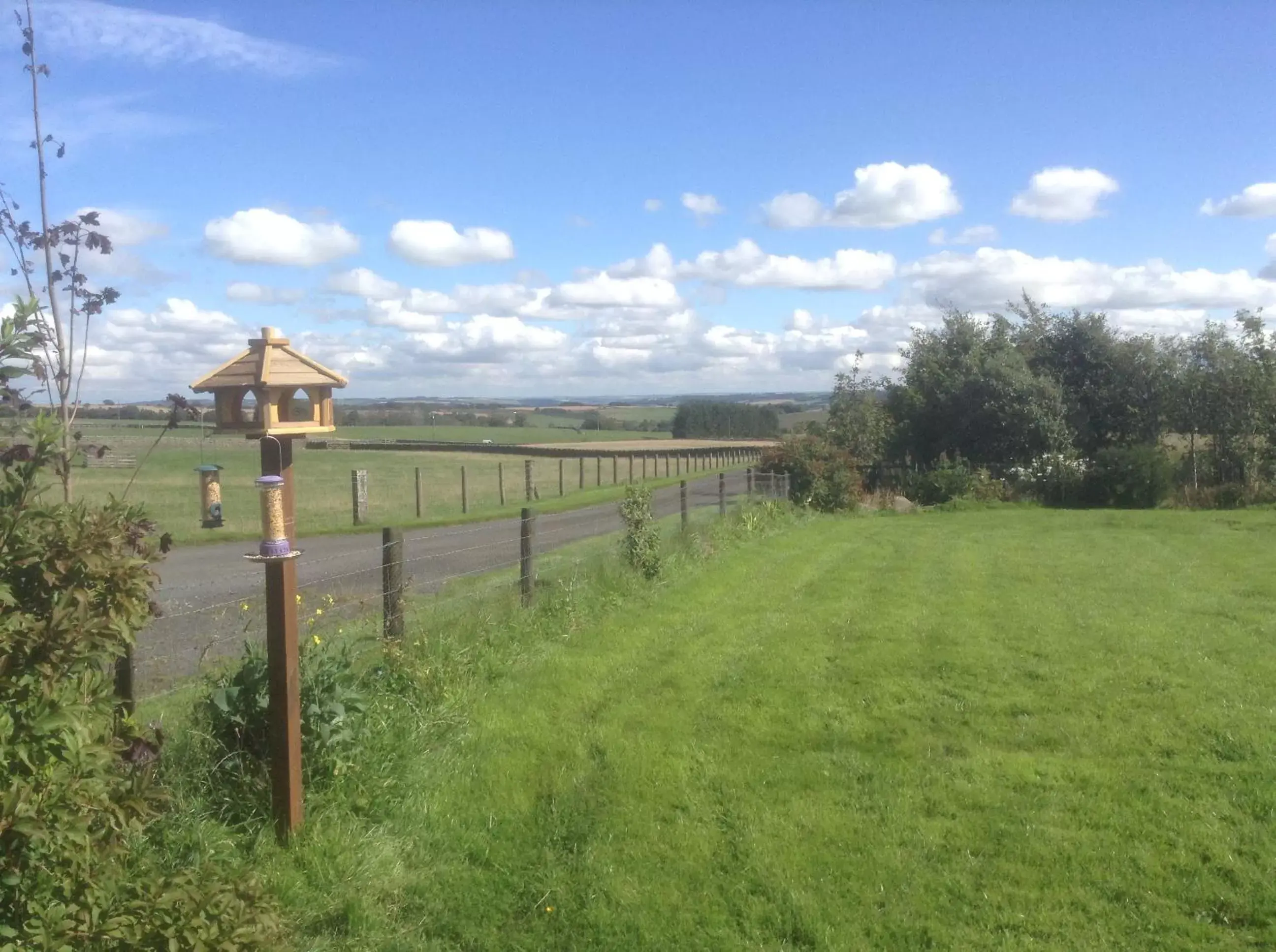 Property building in Bonners Lodge