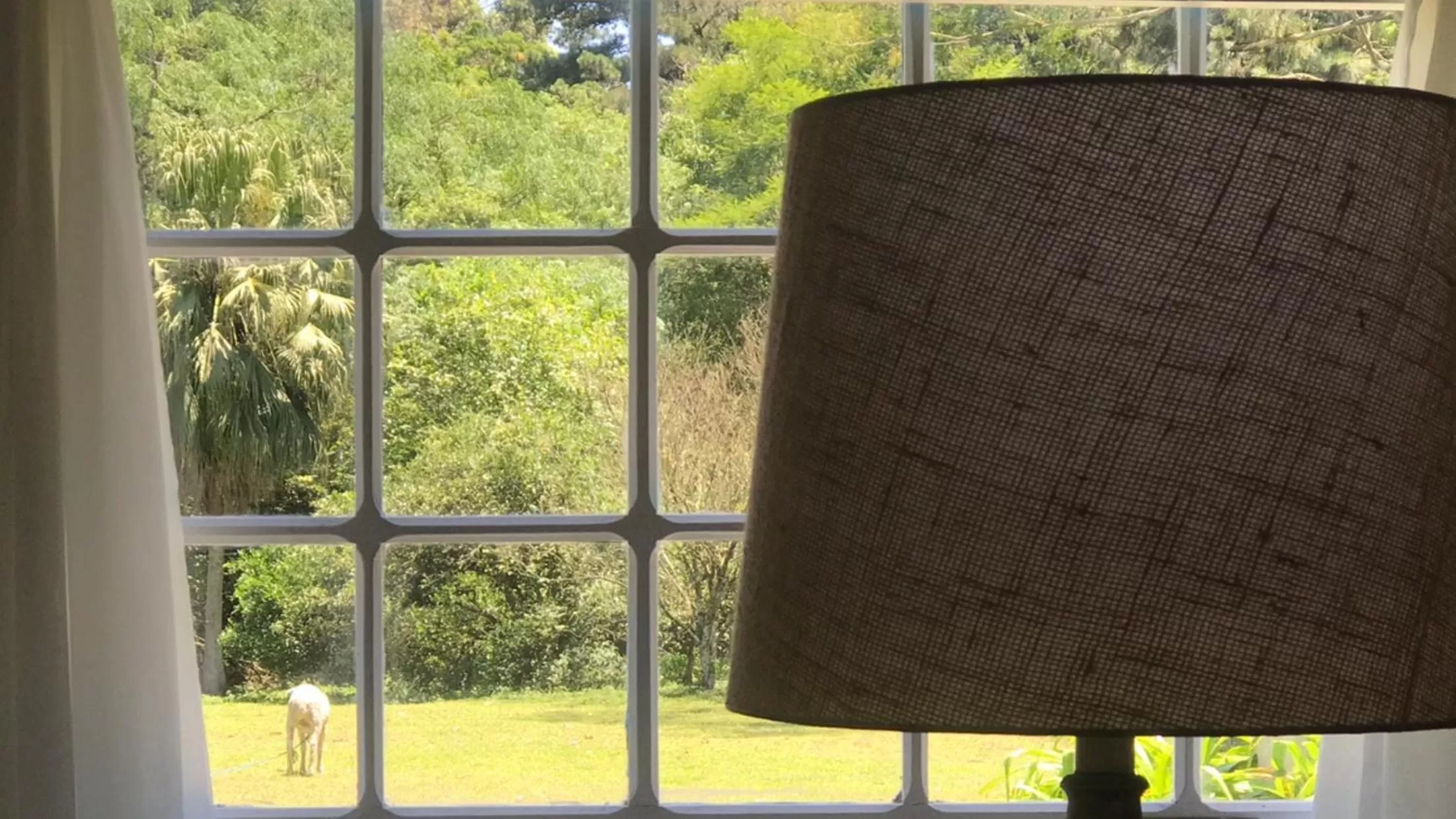 Decorative detail in Charqueada Santa Rita Pousada de Charme