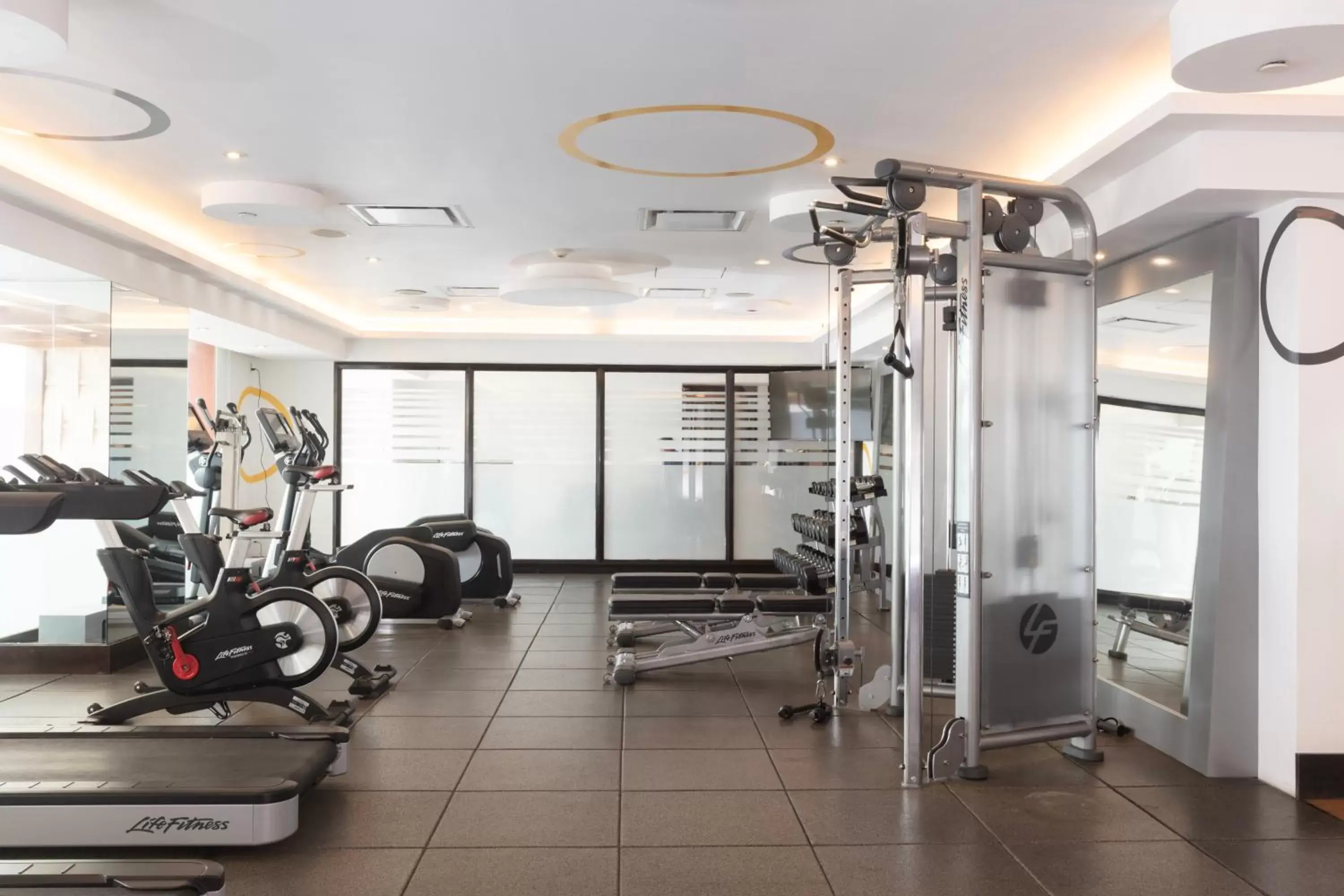 Fitness centre/facilities, Fitness Center/Facilities in Barcelo Guadalajara