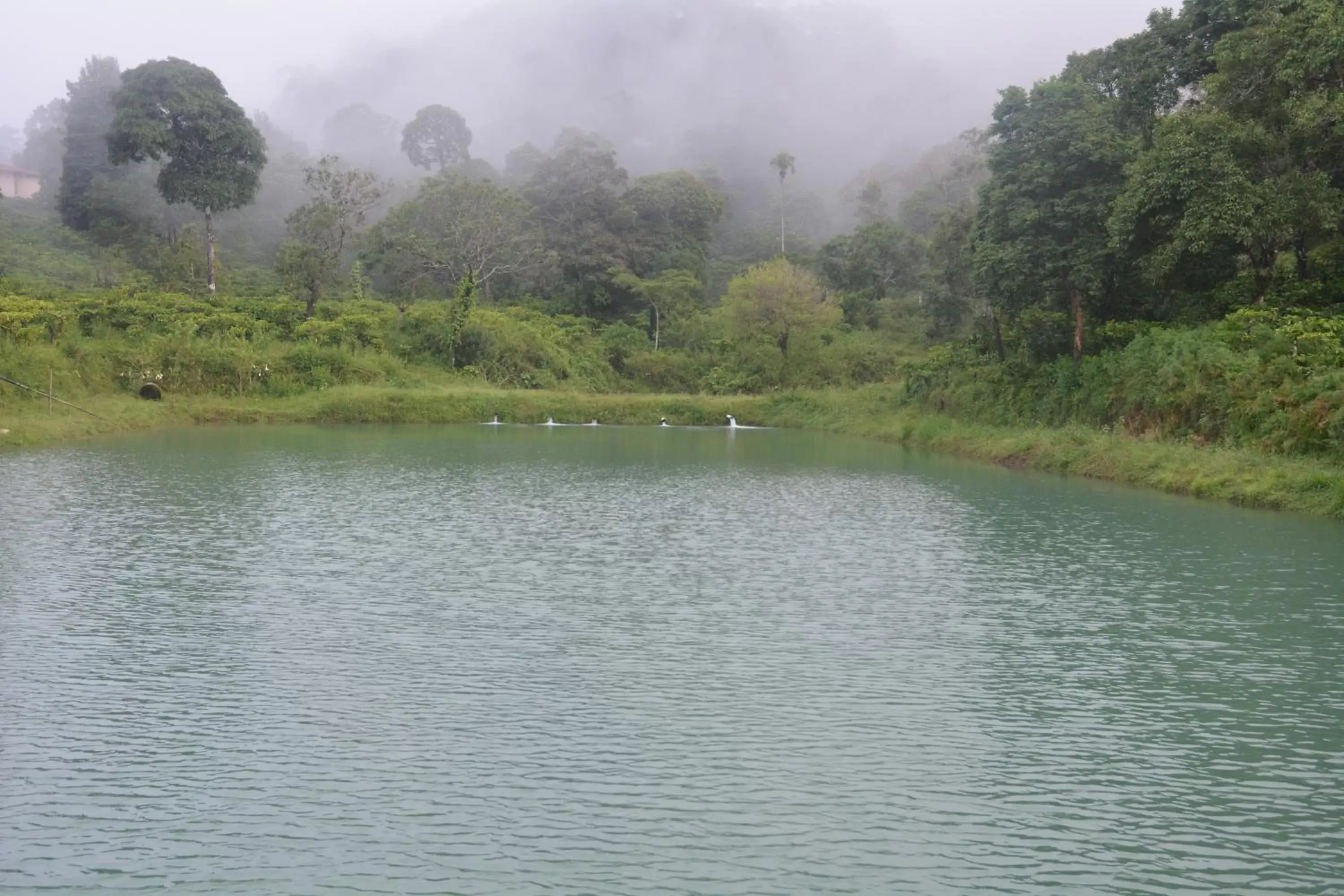 Lake view in Magnolia Estates & Resorts Lake view in Magnolia Estates & Resorts