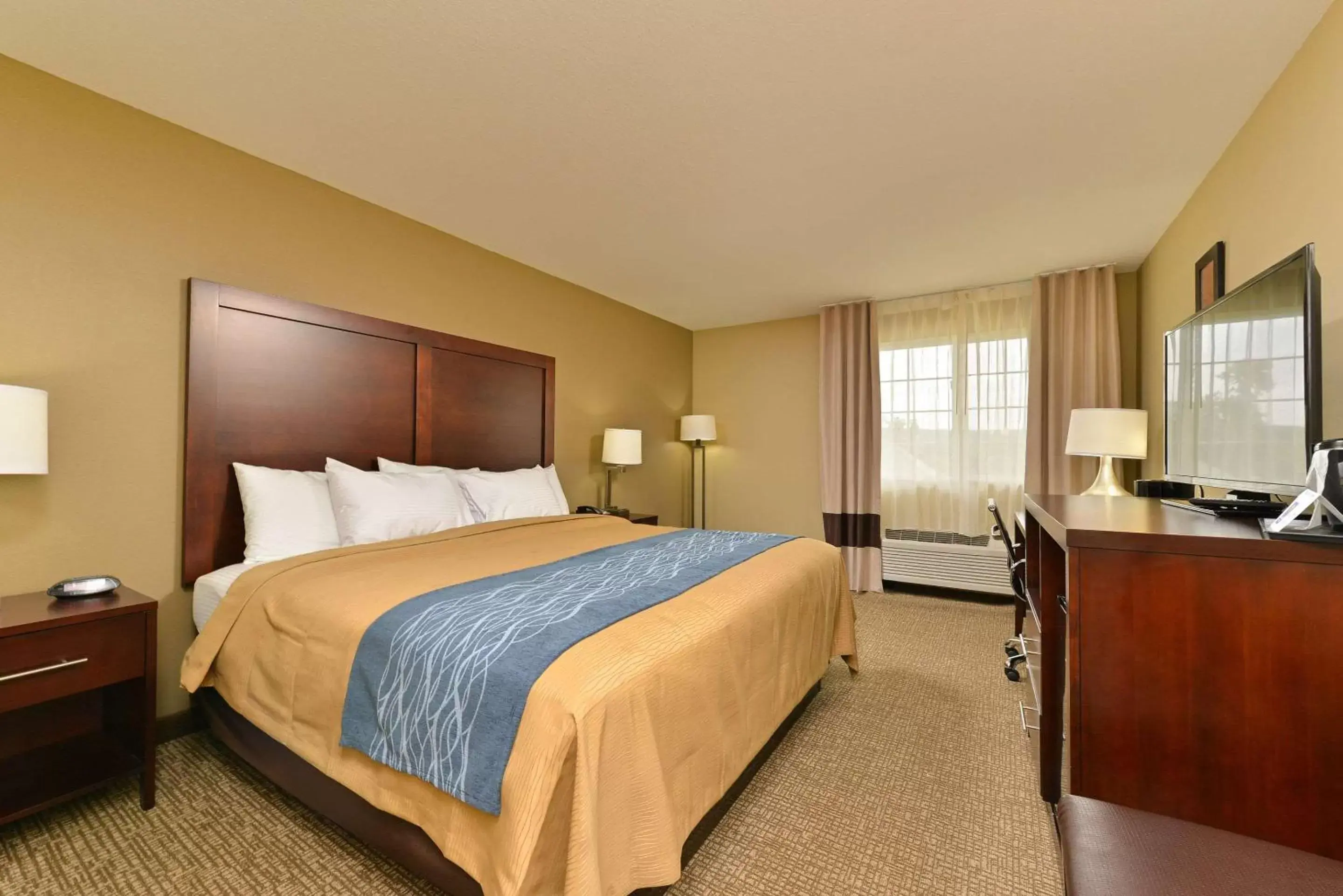 Photo of the whole room in Comfort Inn and Suites Manheim