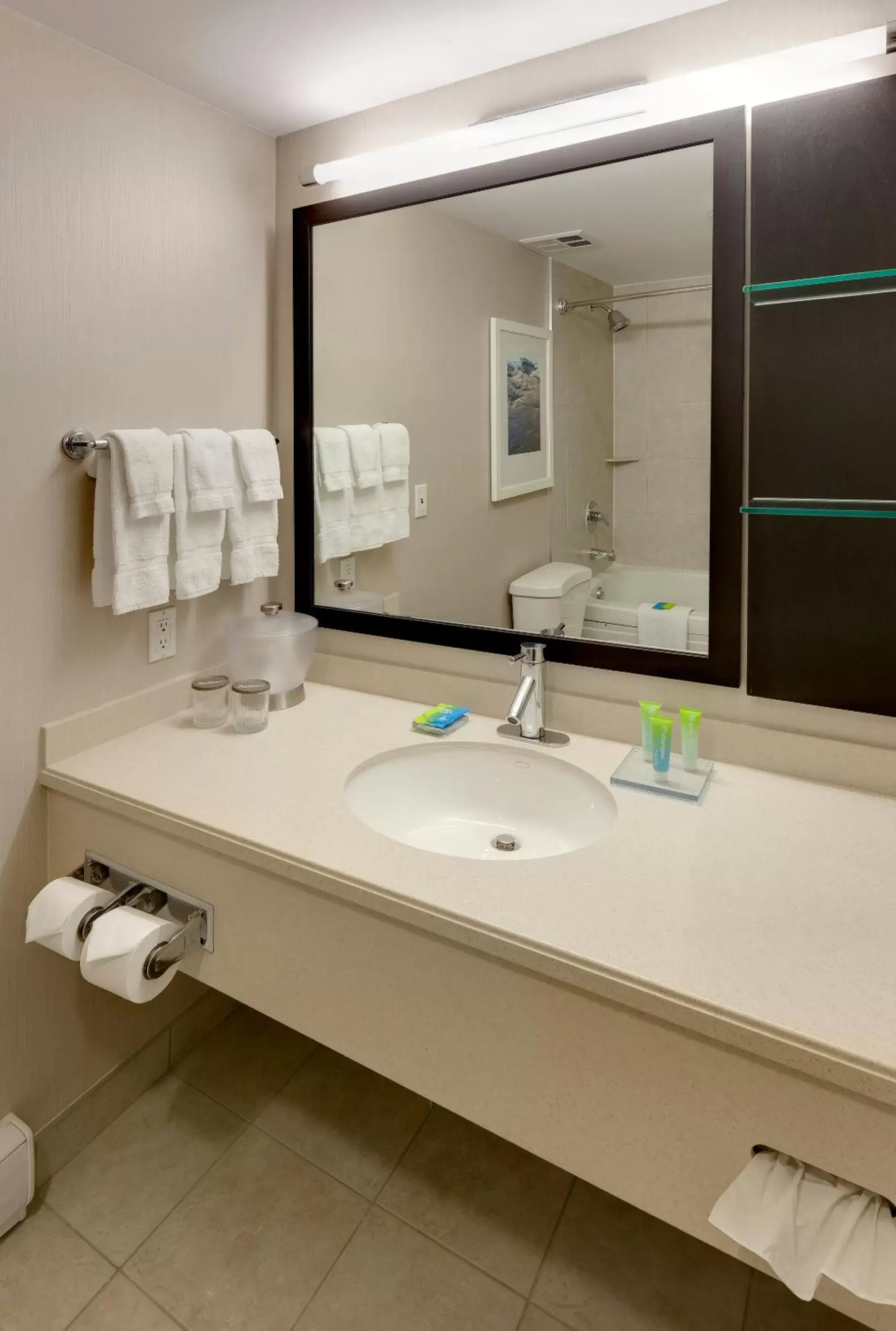 Bathroom in Radisson Hotel & Suites Fallsview