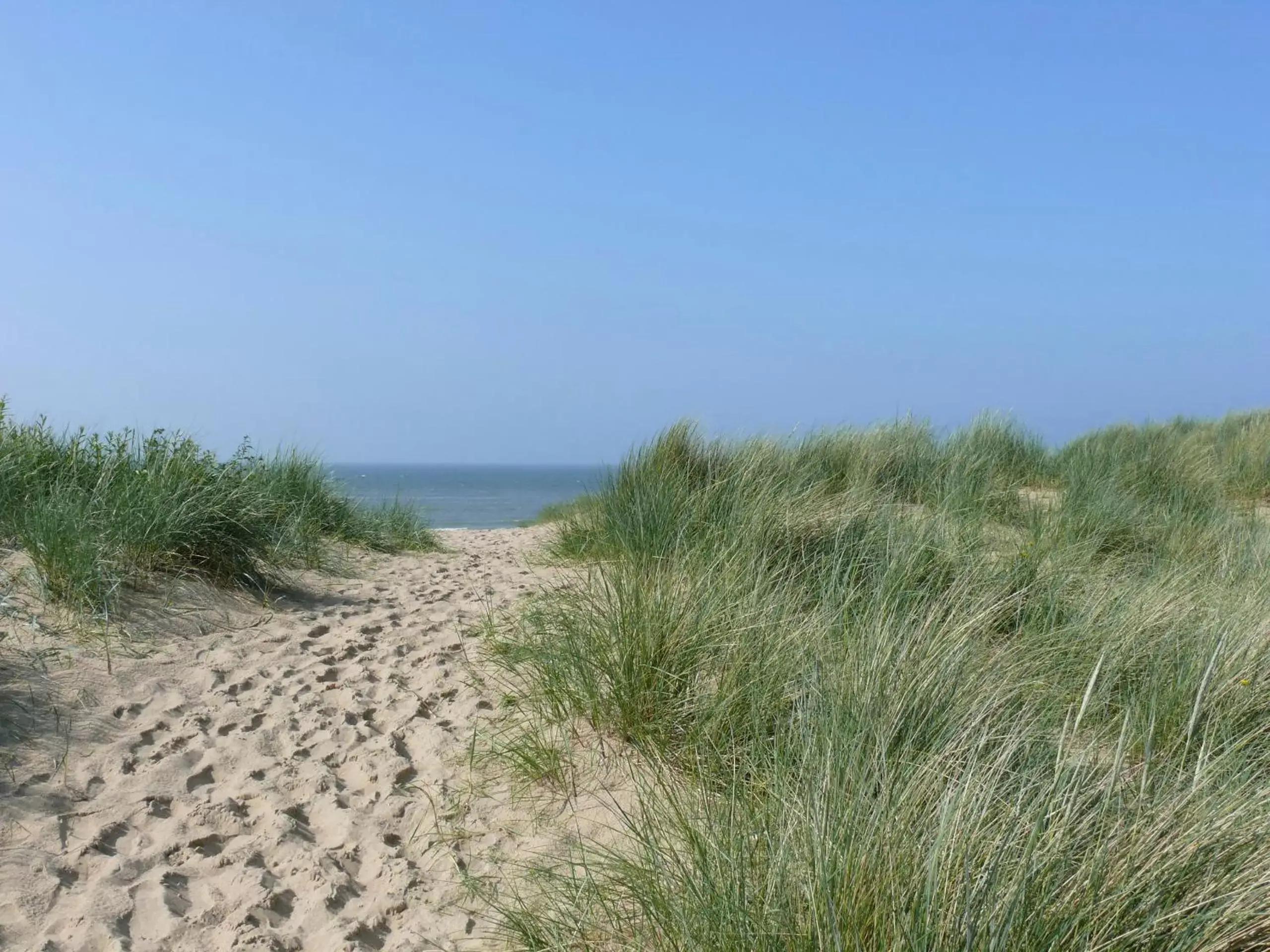 Natural landscape in ibis De Panne