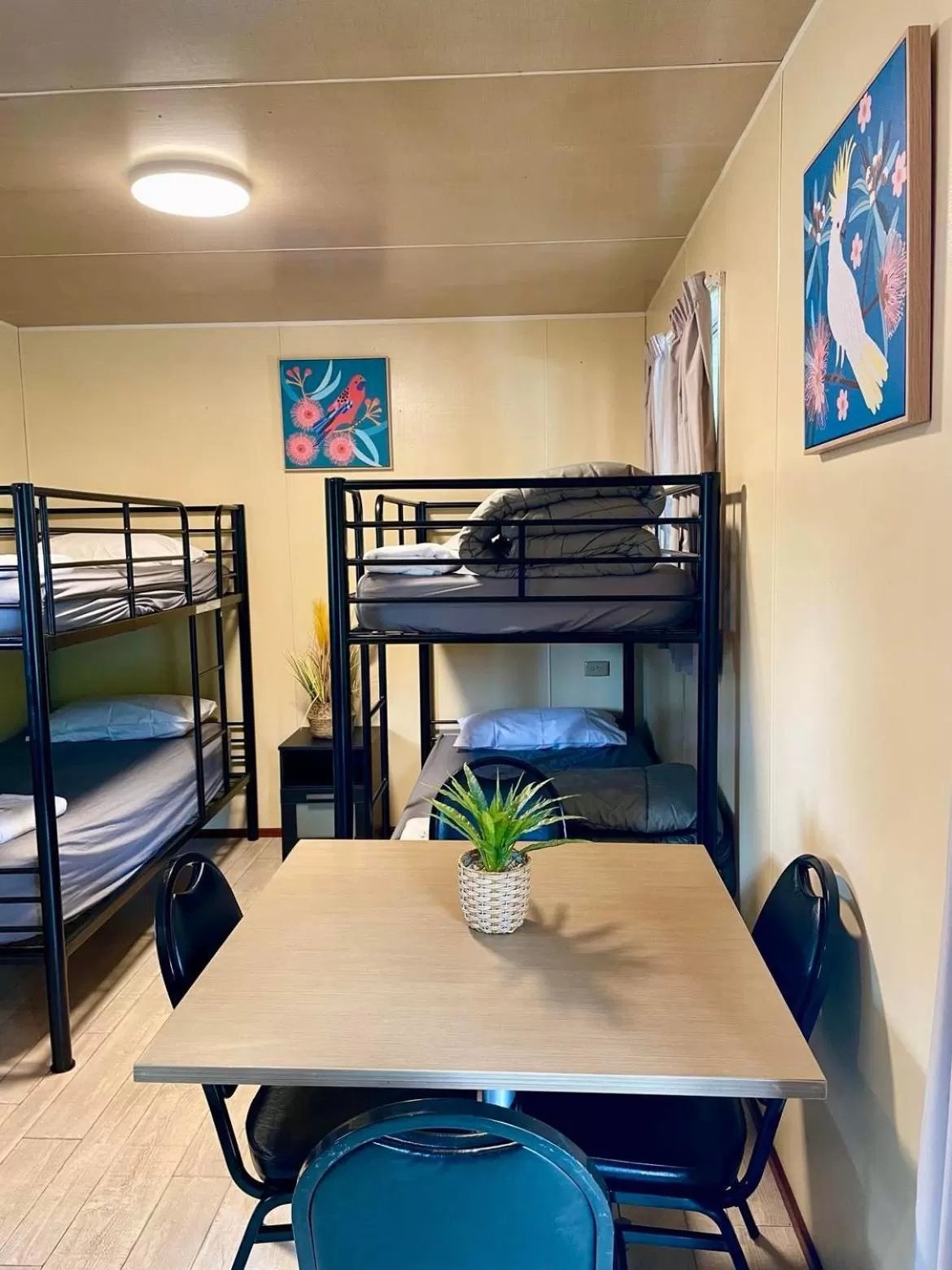 bunk bed, Bed in Esk Caravan Park & Rail Trail Motel