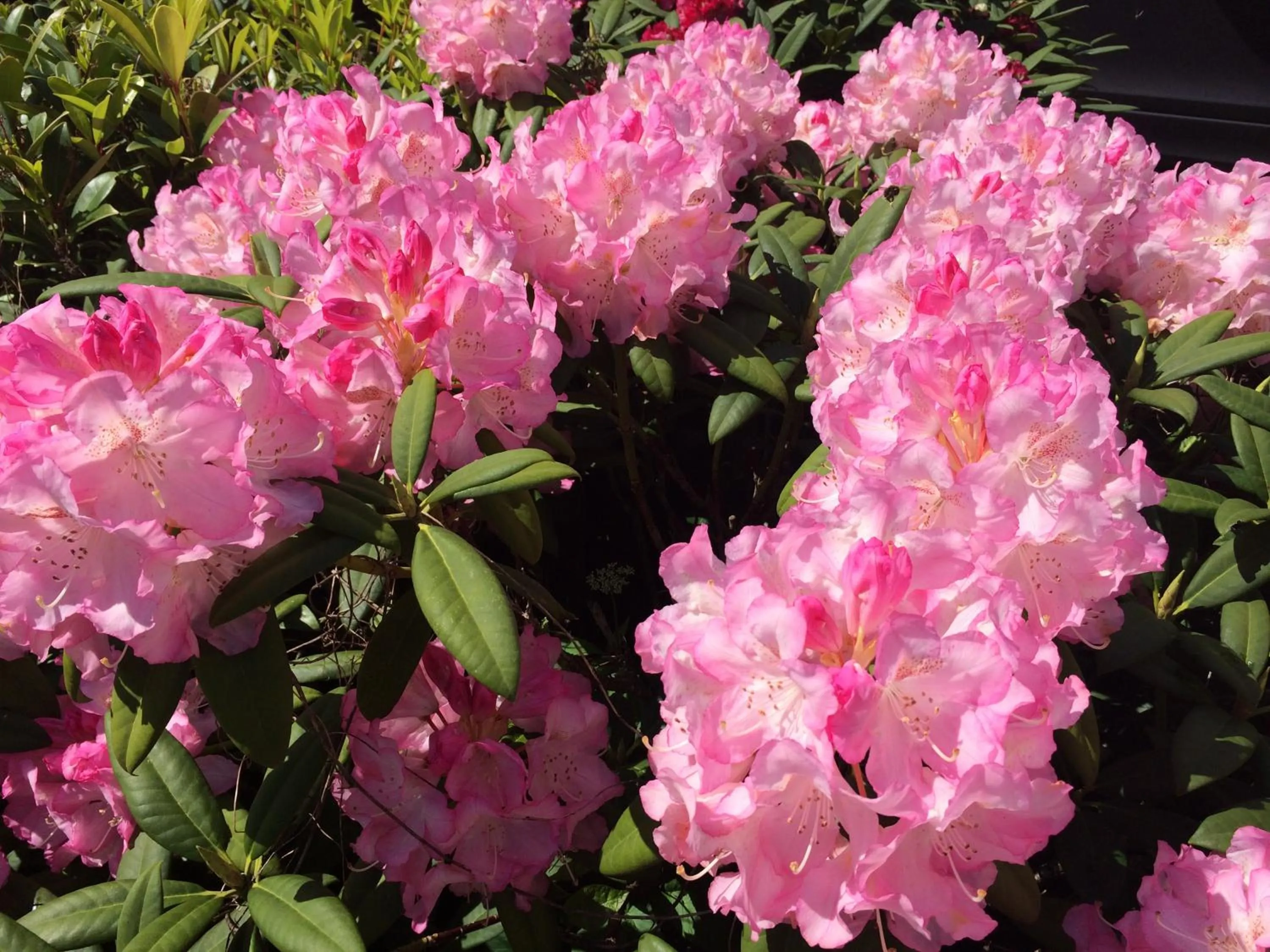 Natural landscape in HansenS Haus am Meer