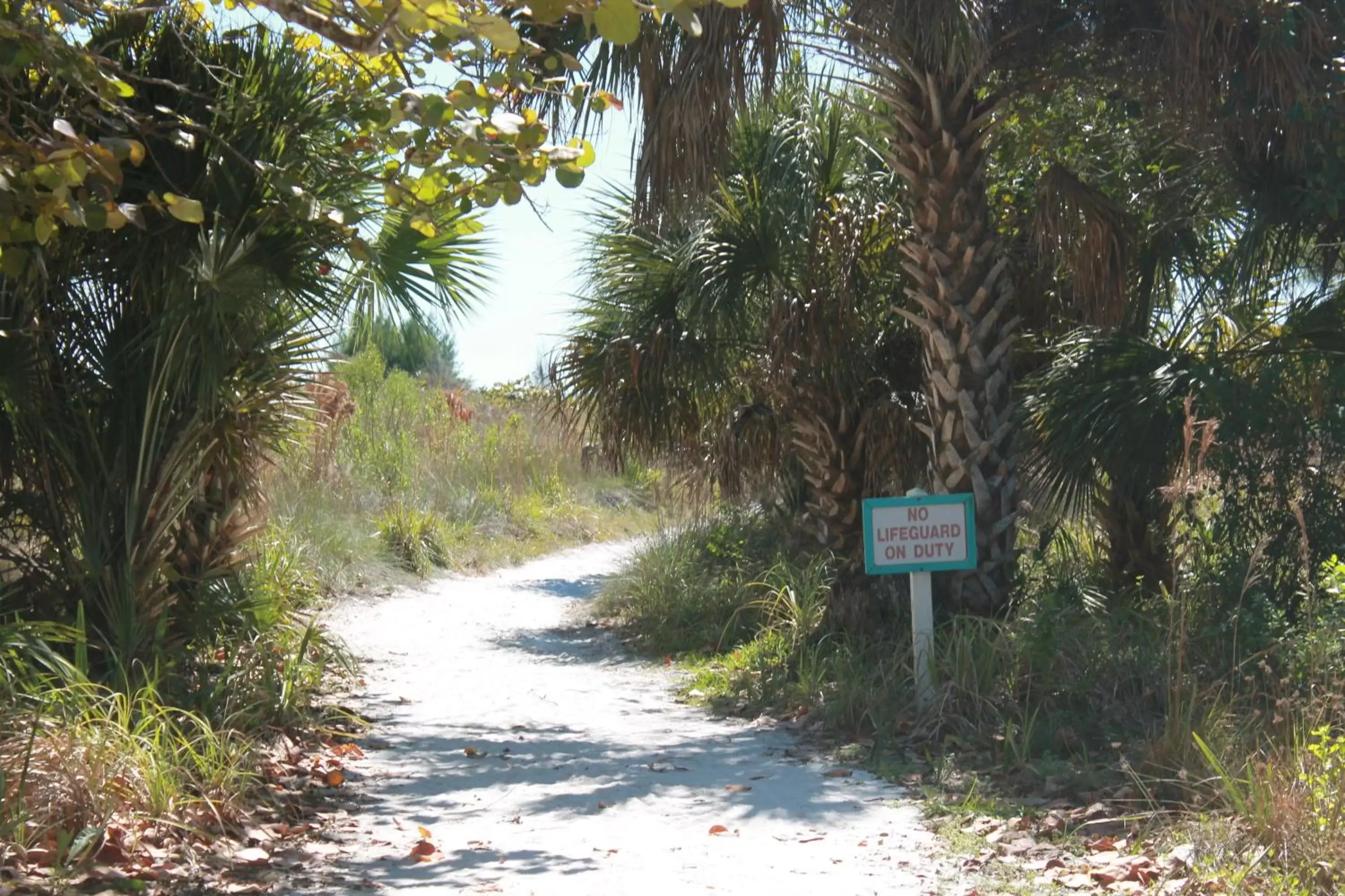 Area and facilities in The Ringling Beach House