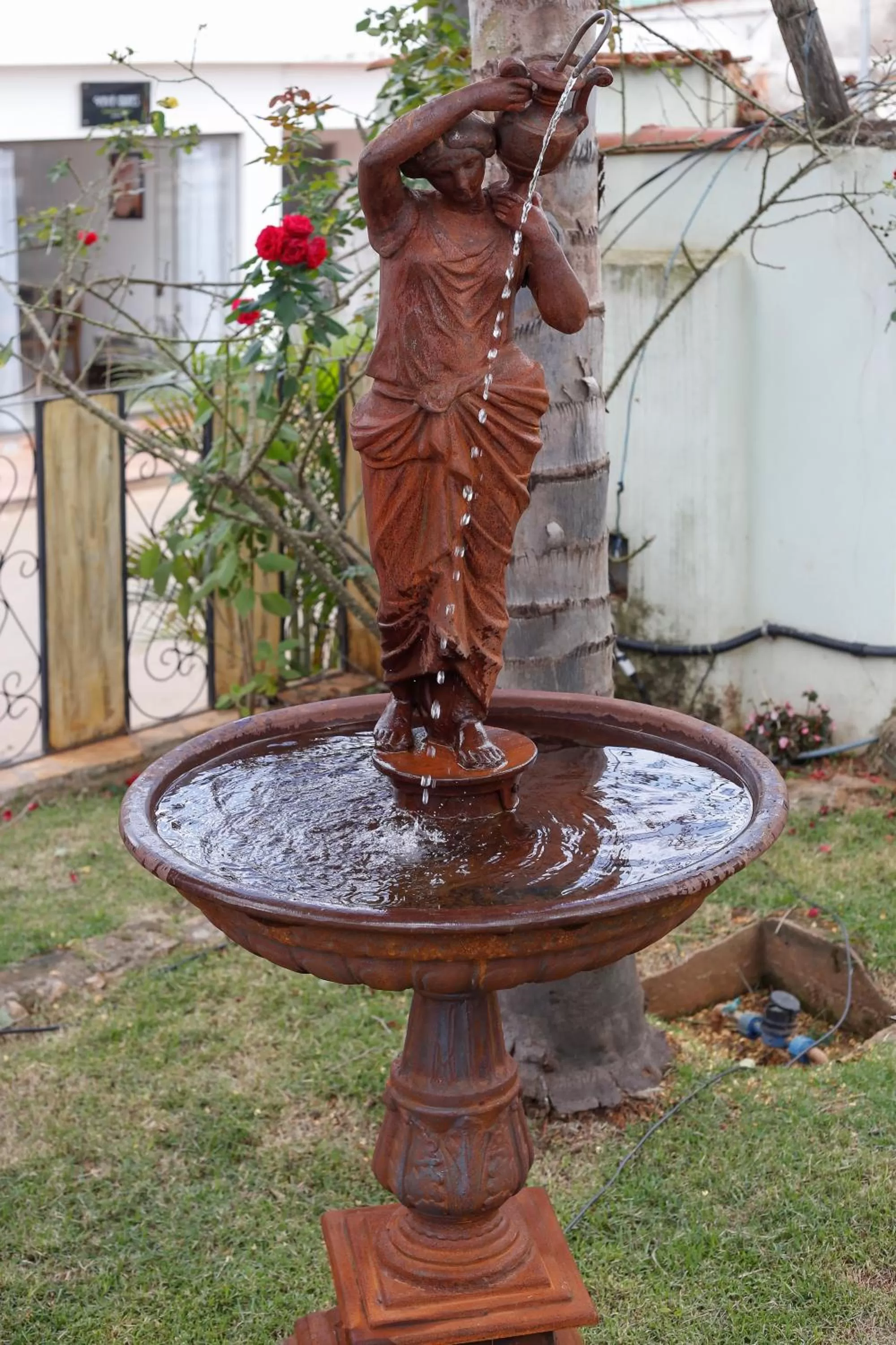 Garden in Pousada Neuza Barbosa