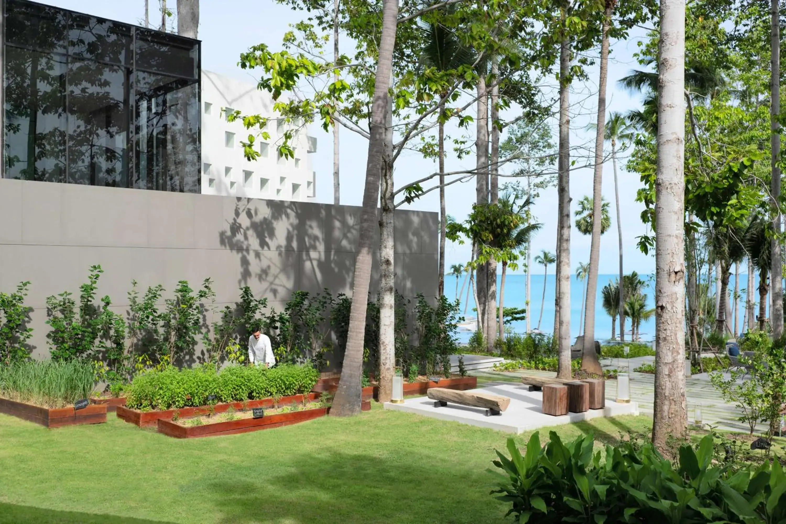 Property building, Garden in Hyatt Regency Koh Samui- SHA Extra Plus