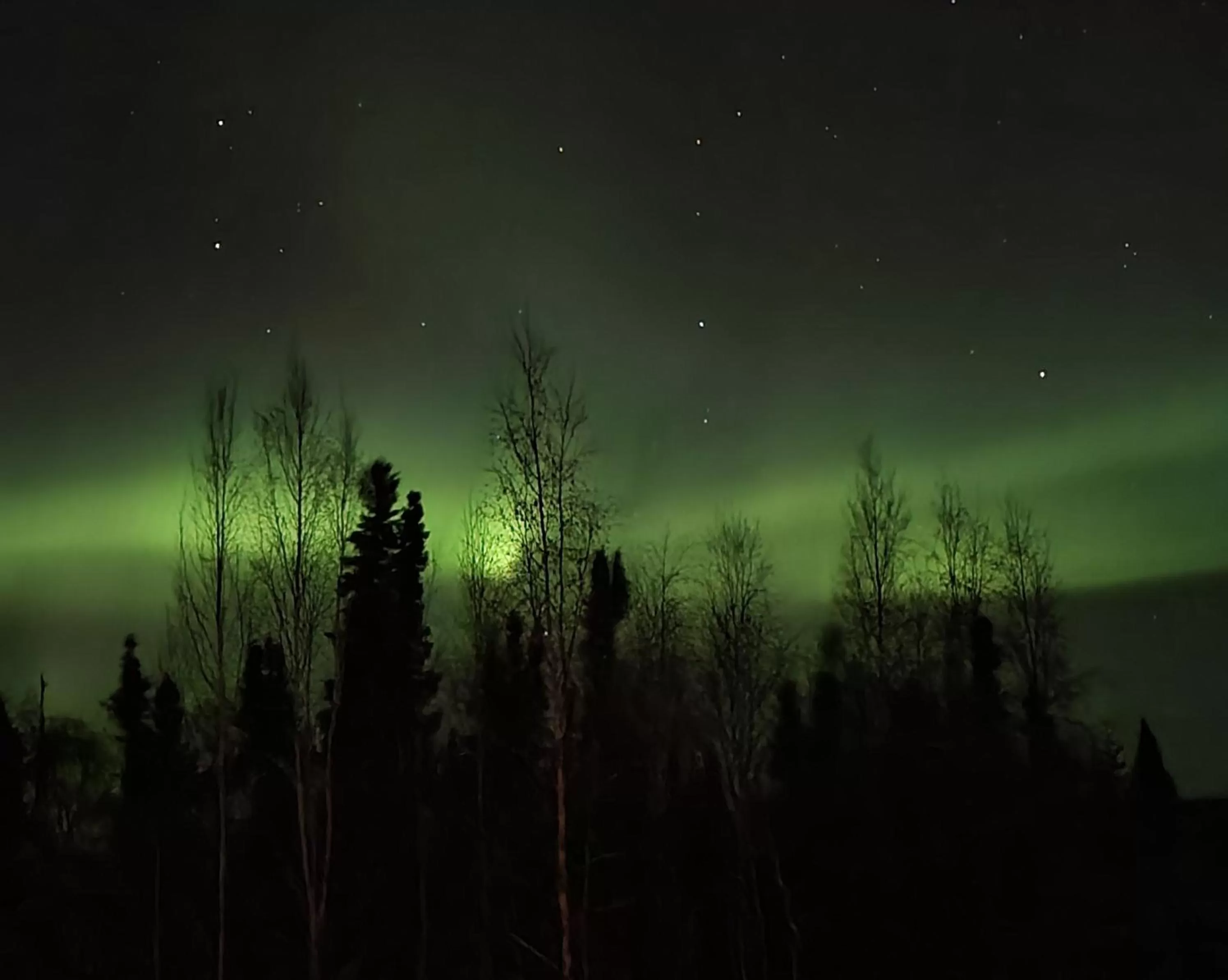 Alaska Grizzly Lodge
