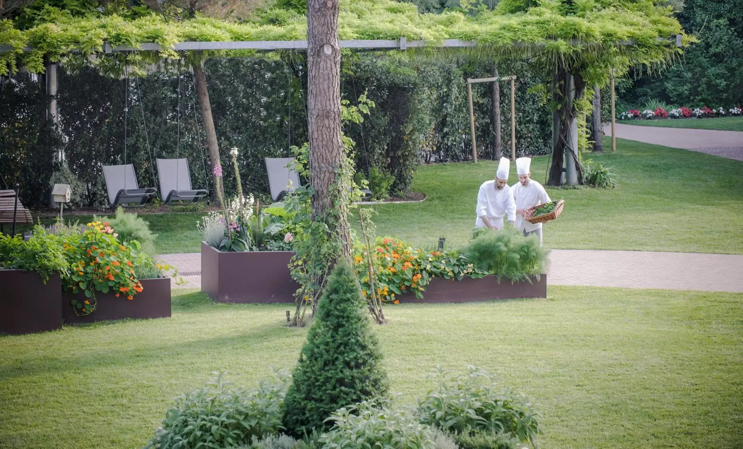 Garden in Hotel Mioni Pezzato