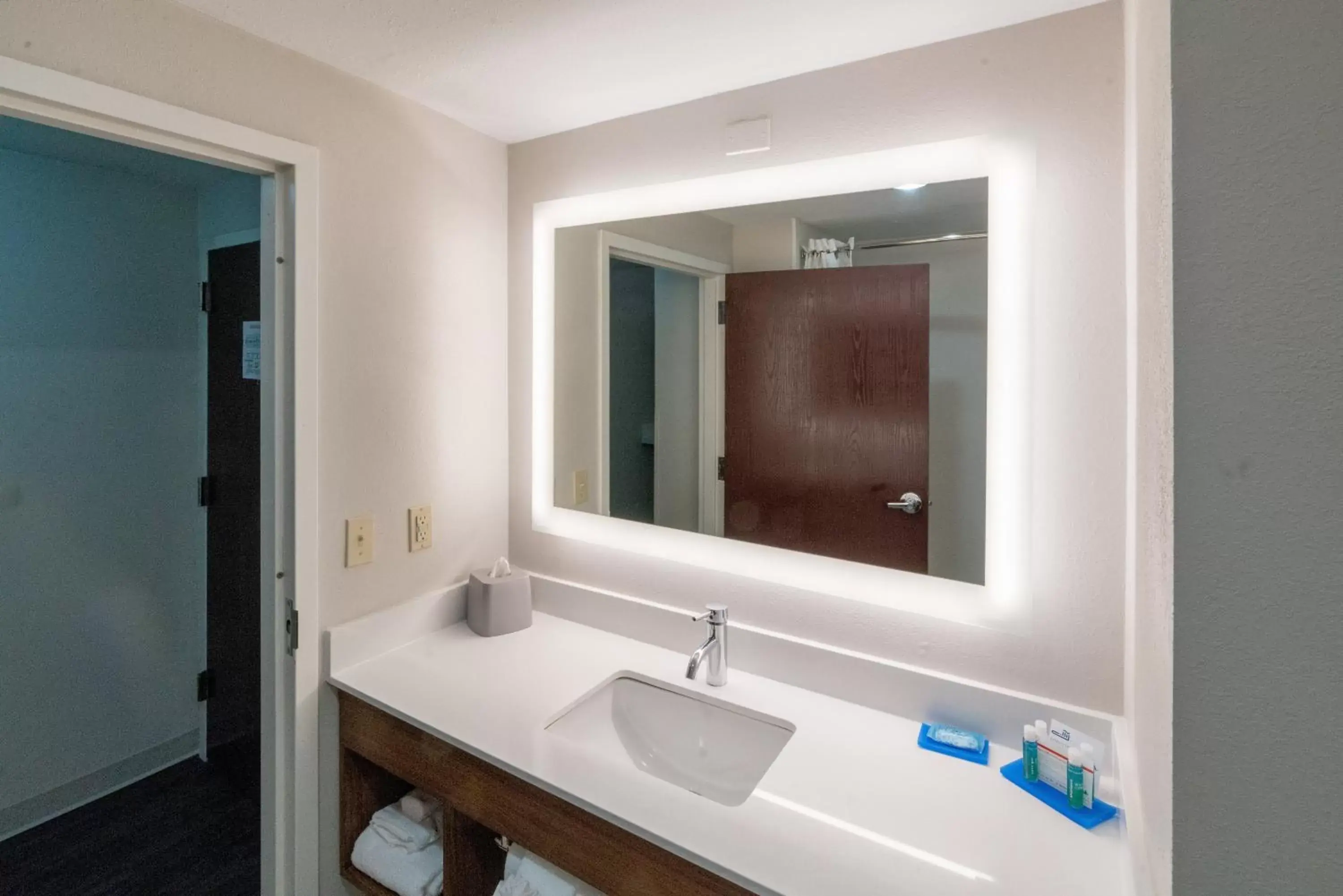 Photo of the whole room, Bathroom in Holiday Inn Express Hotel & Suites Nashville Brentwood 65S