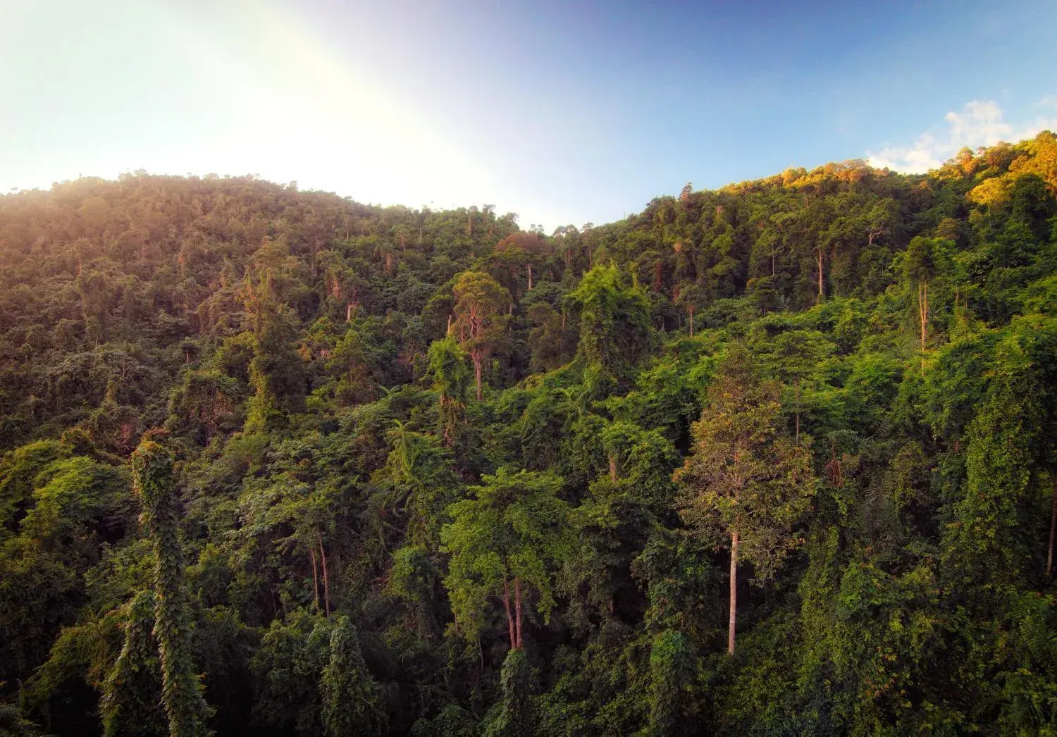 Natural landscape in Bunga Raya Island Resort & Spa