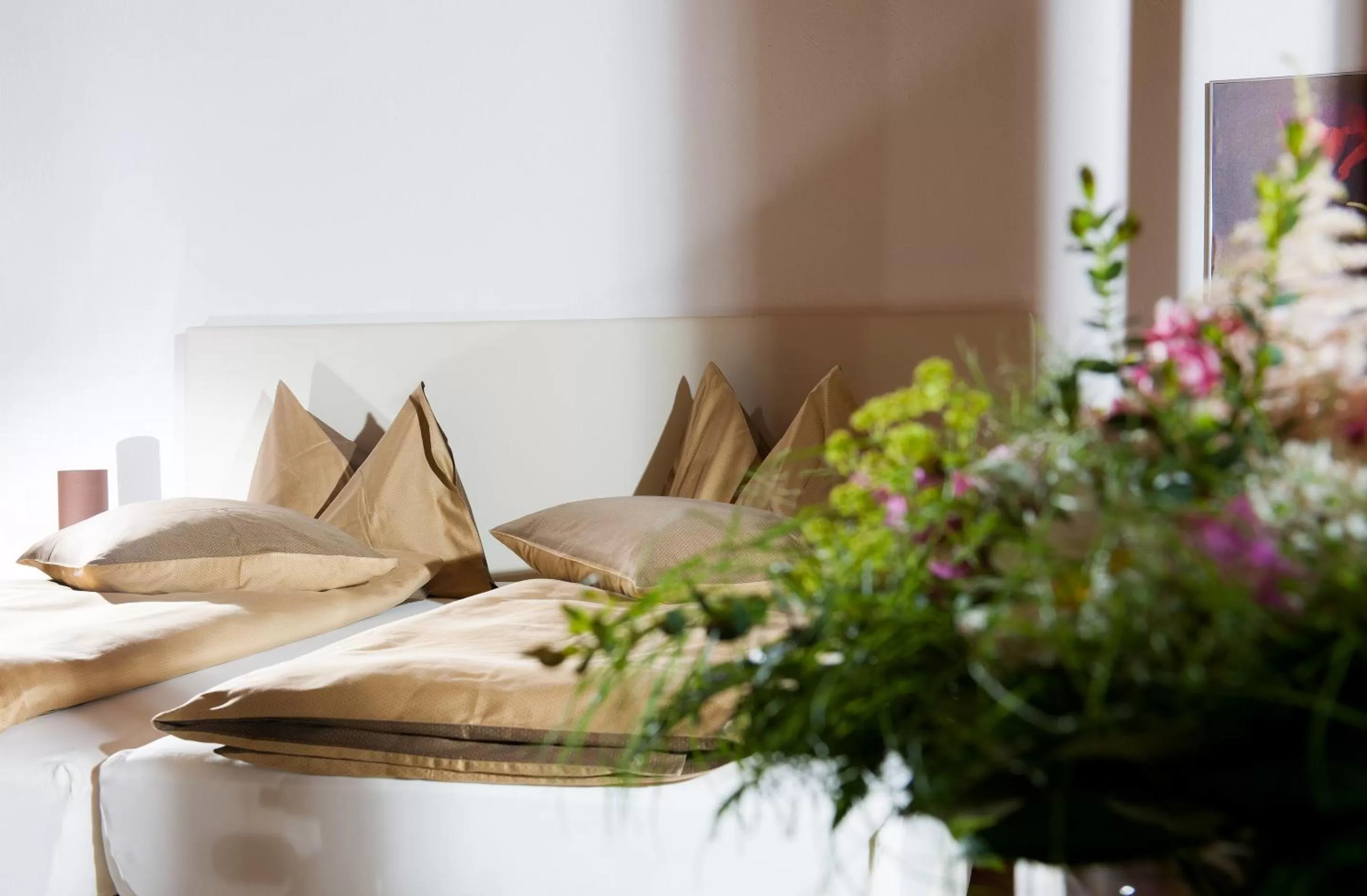 Area and facilities in Jungfrau Hotel