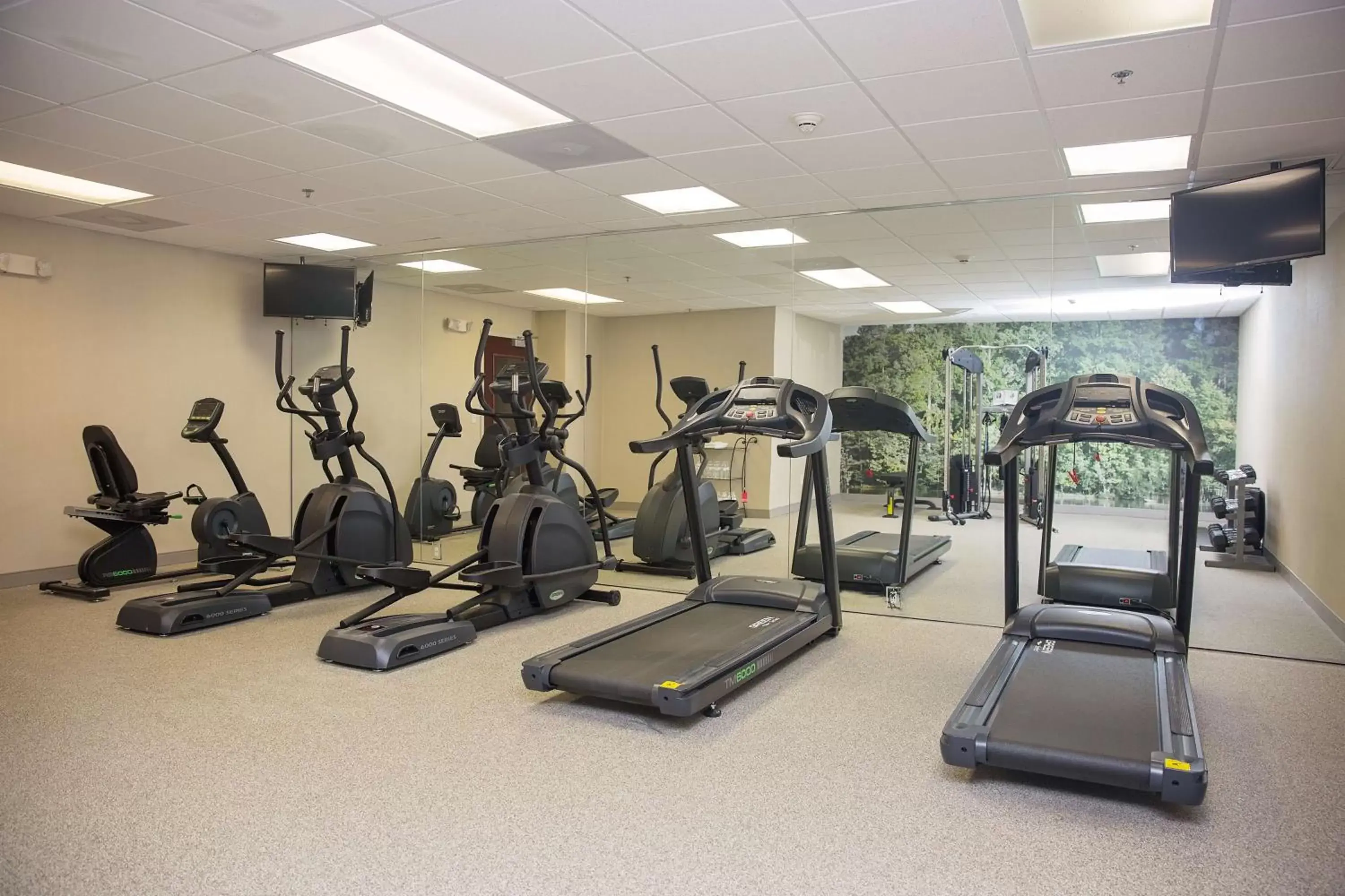 Fitness centre/facilities, Fitness Center/Facilities in Parke Regency Hotel & Conf Ctr., BW Signature Collection