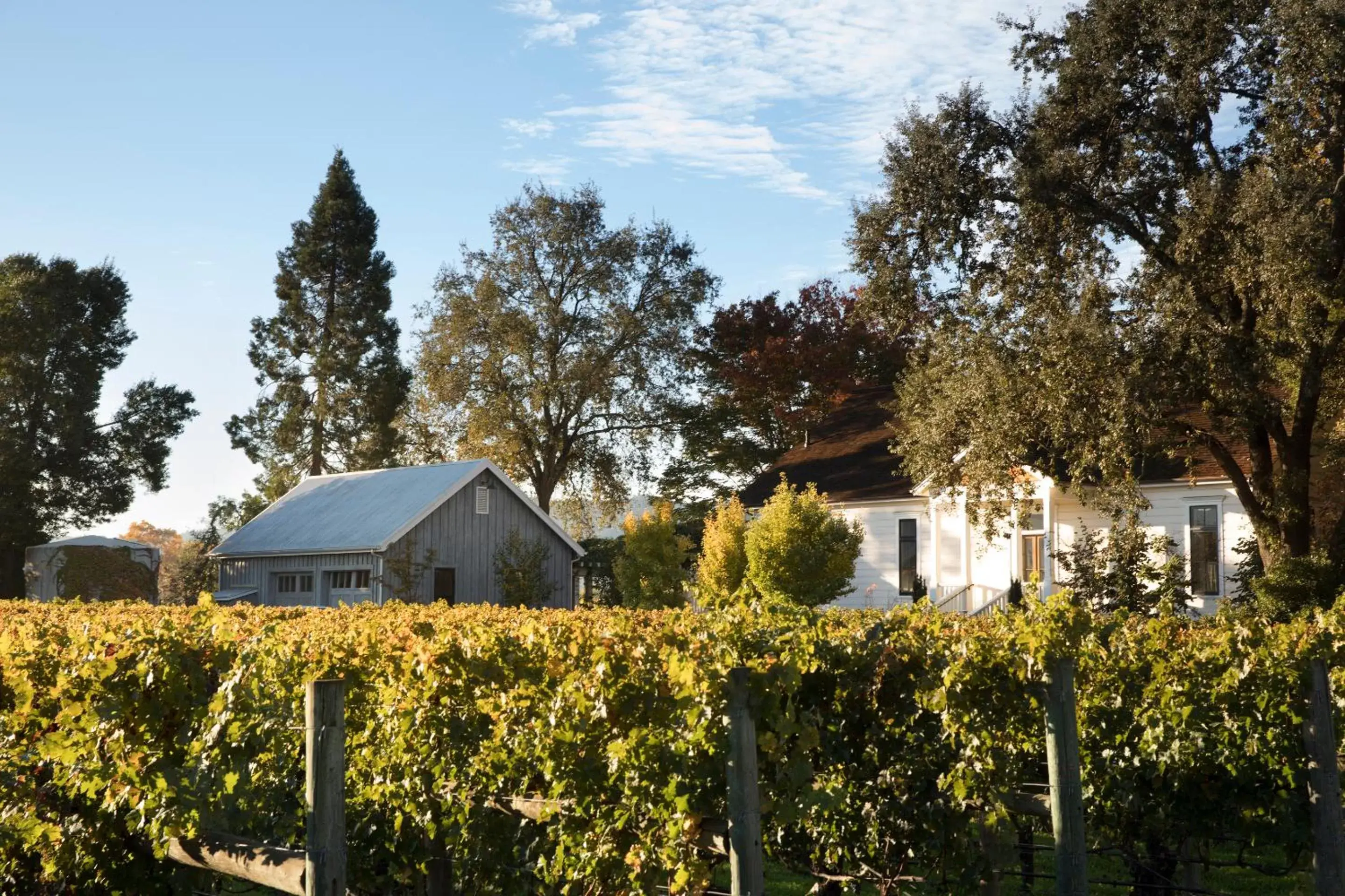 Activities, Property Building in Rancho Caymus Inn