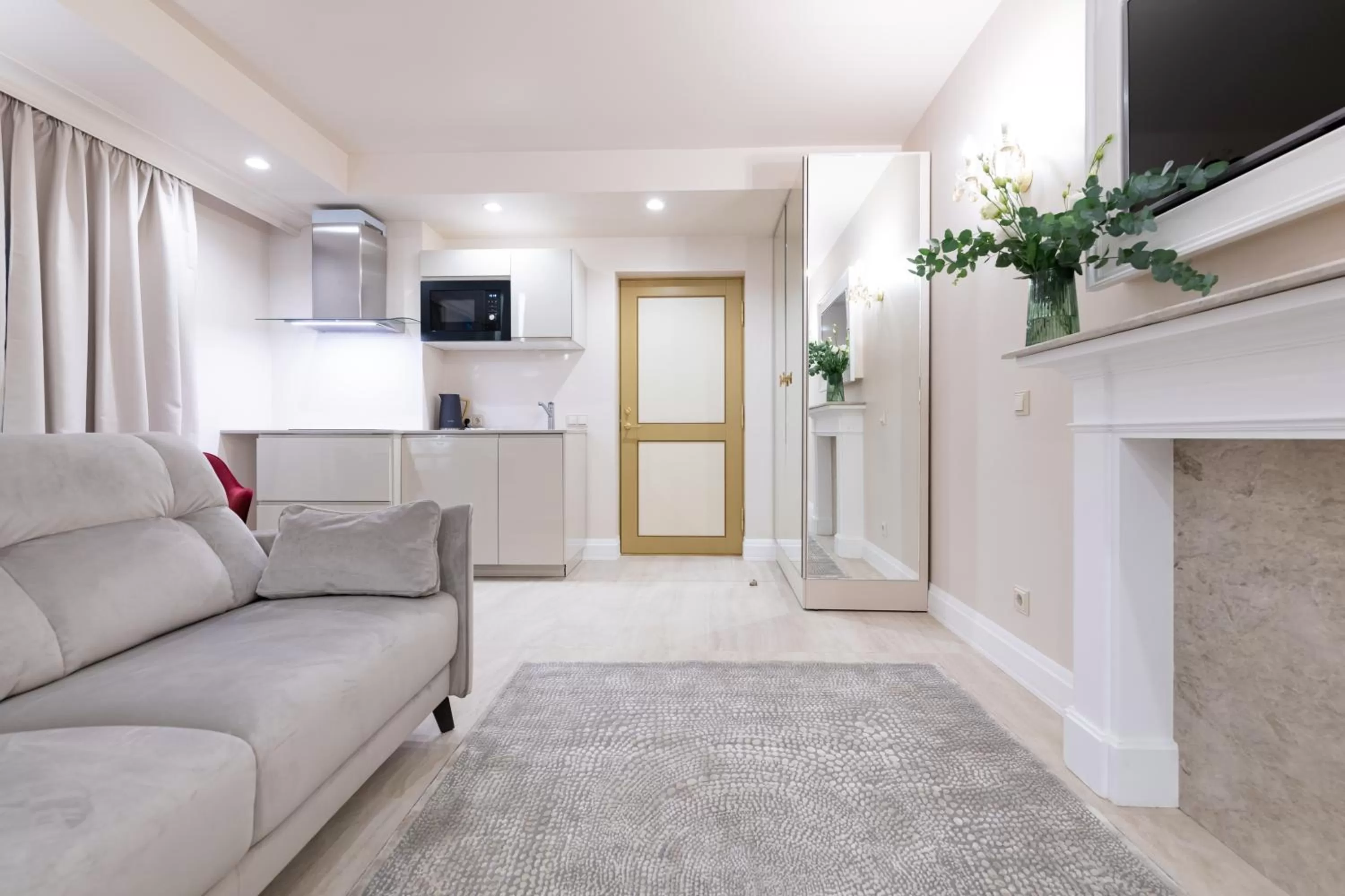 TV and multimedia in Hotel Meltzer Apartments