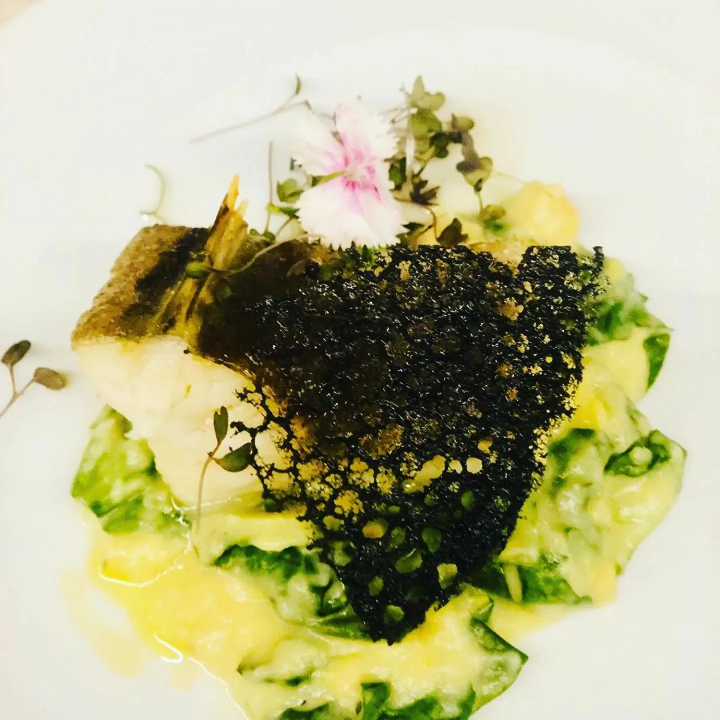 8 VILLAS Hotel & Bistrô