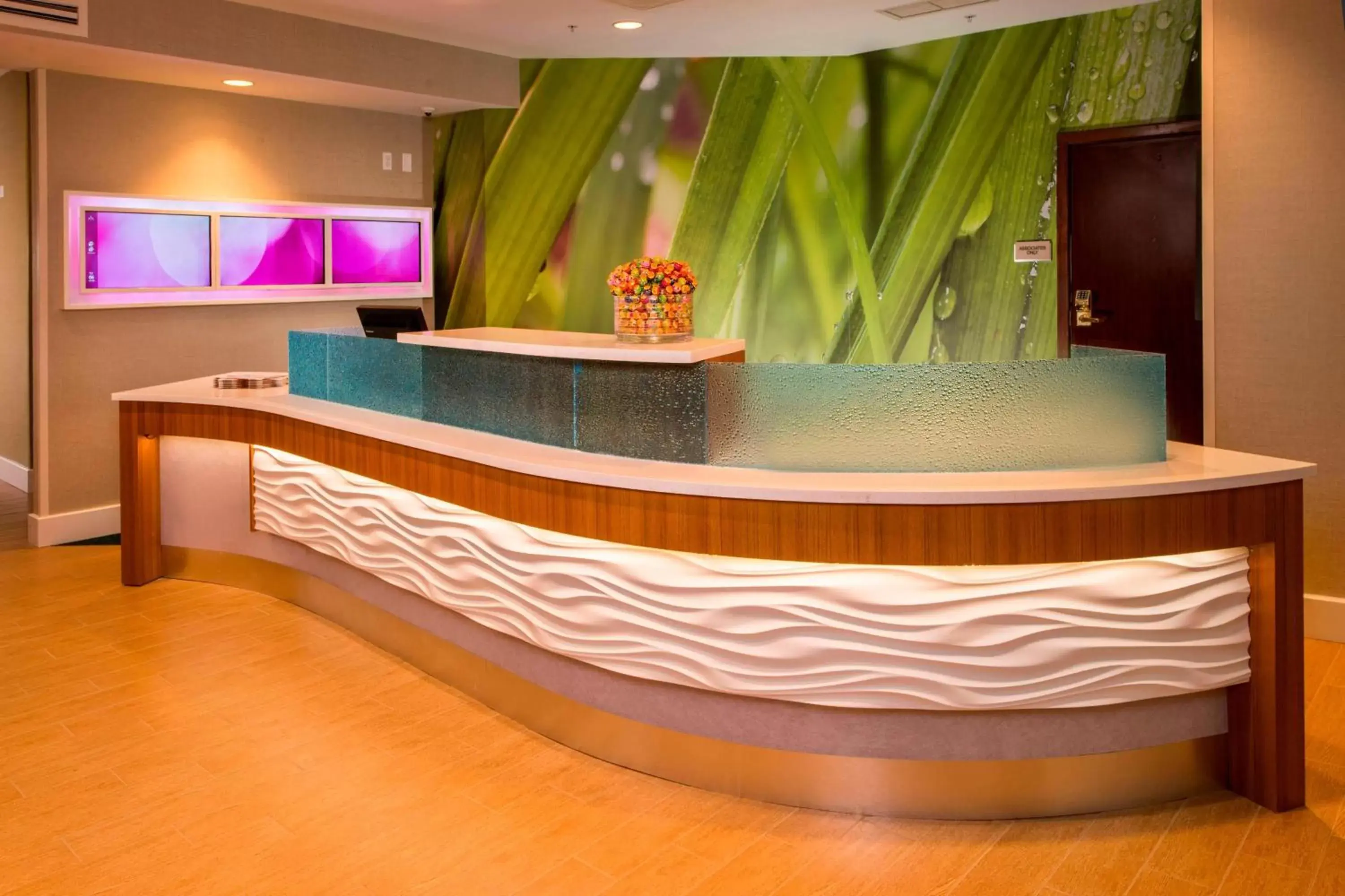 Lobby or reception, Lobby/Reception in SpringHill Suites by Marriott Gaithersburg