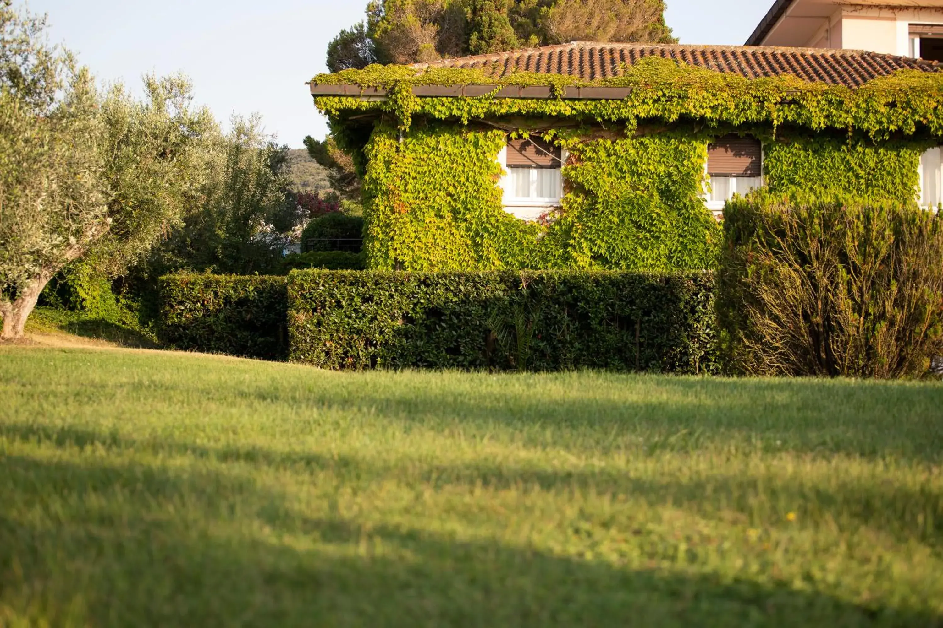 Property Building in Hotel Fabricia