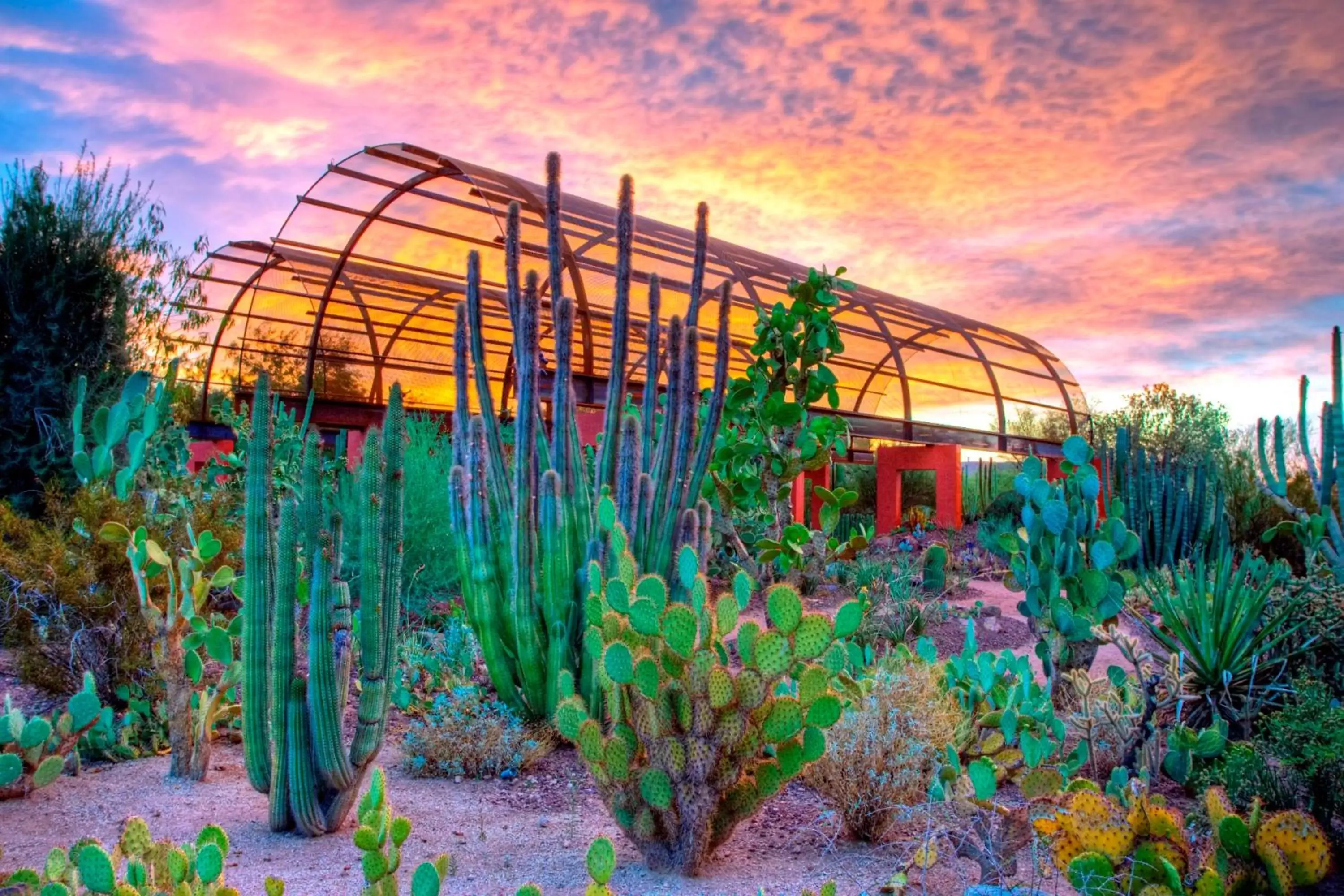 Nearby landmark, Property Building in Holiday Inn Express & Suites - Phoenix - Airport North, an IHG Hotel