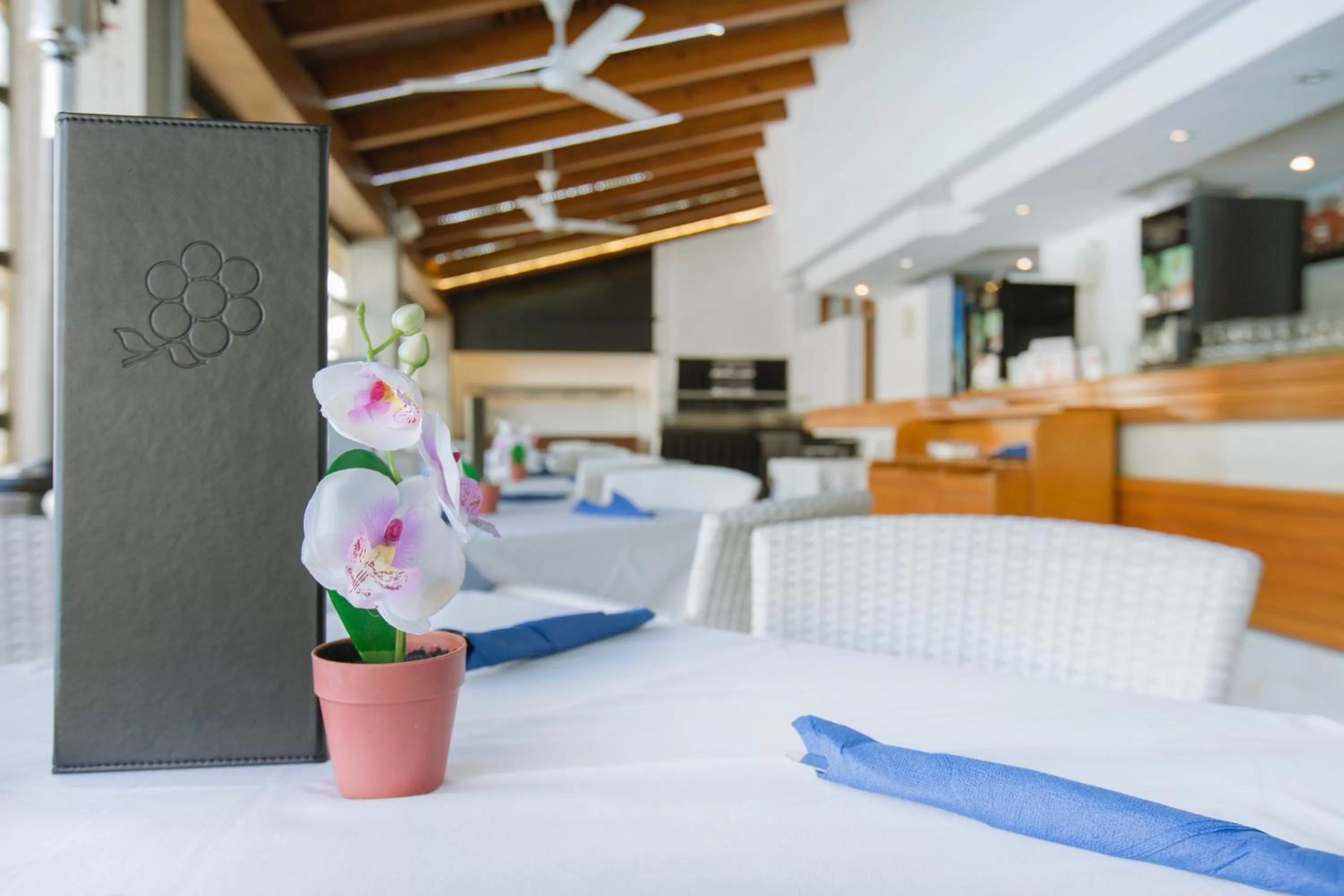 Restaurant/places to eat in Aparthotel Flora