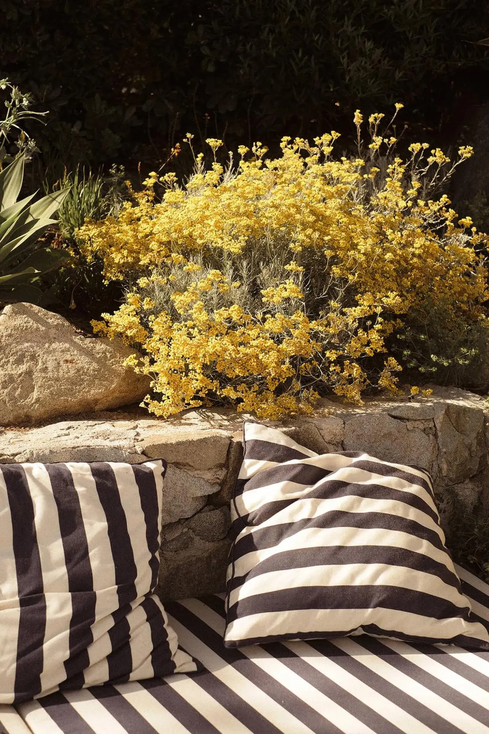 Garden in Hotel Les Roches Rouges