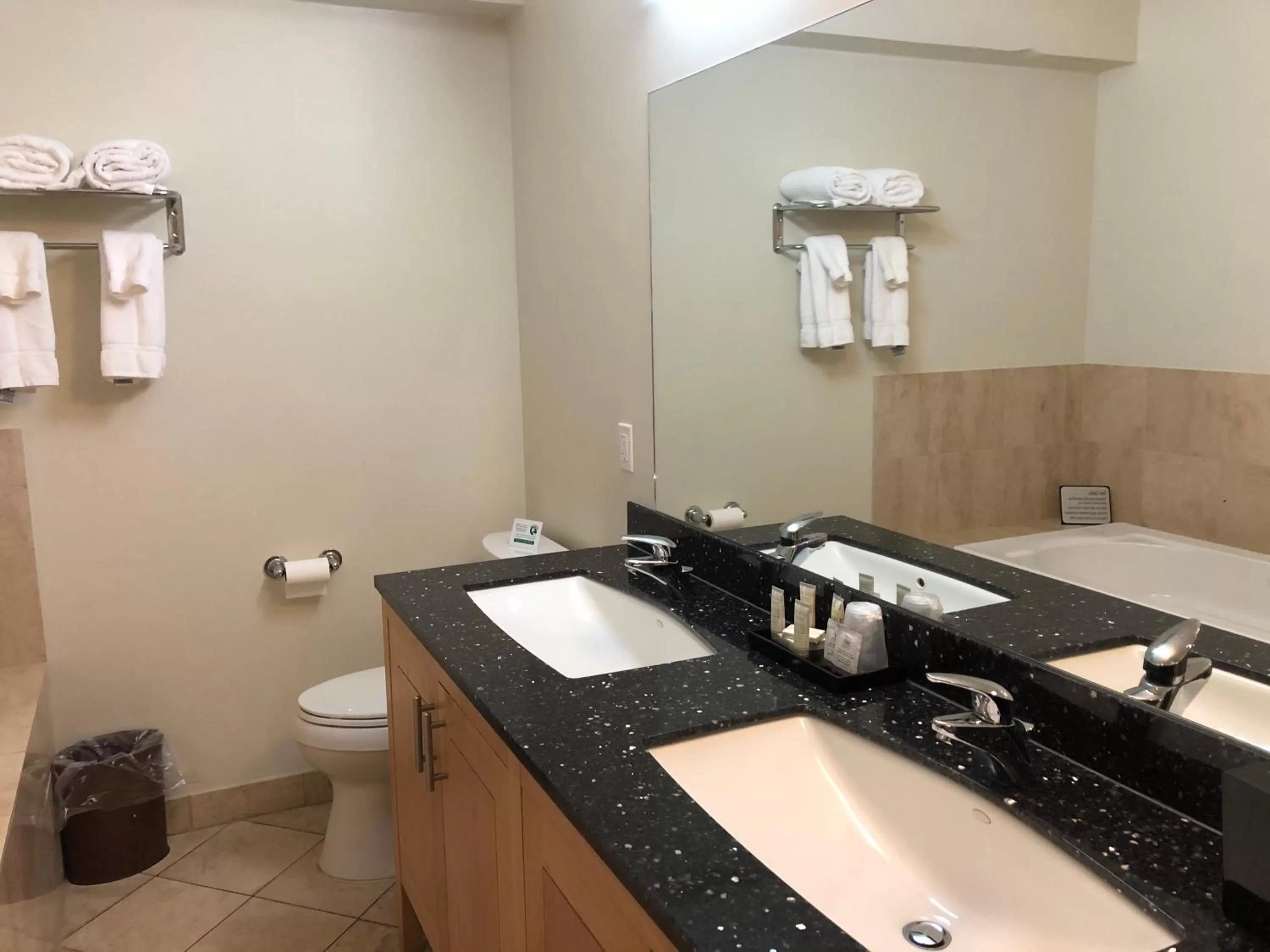 Bathroom in Grand Eastonian Hotel & Suites