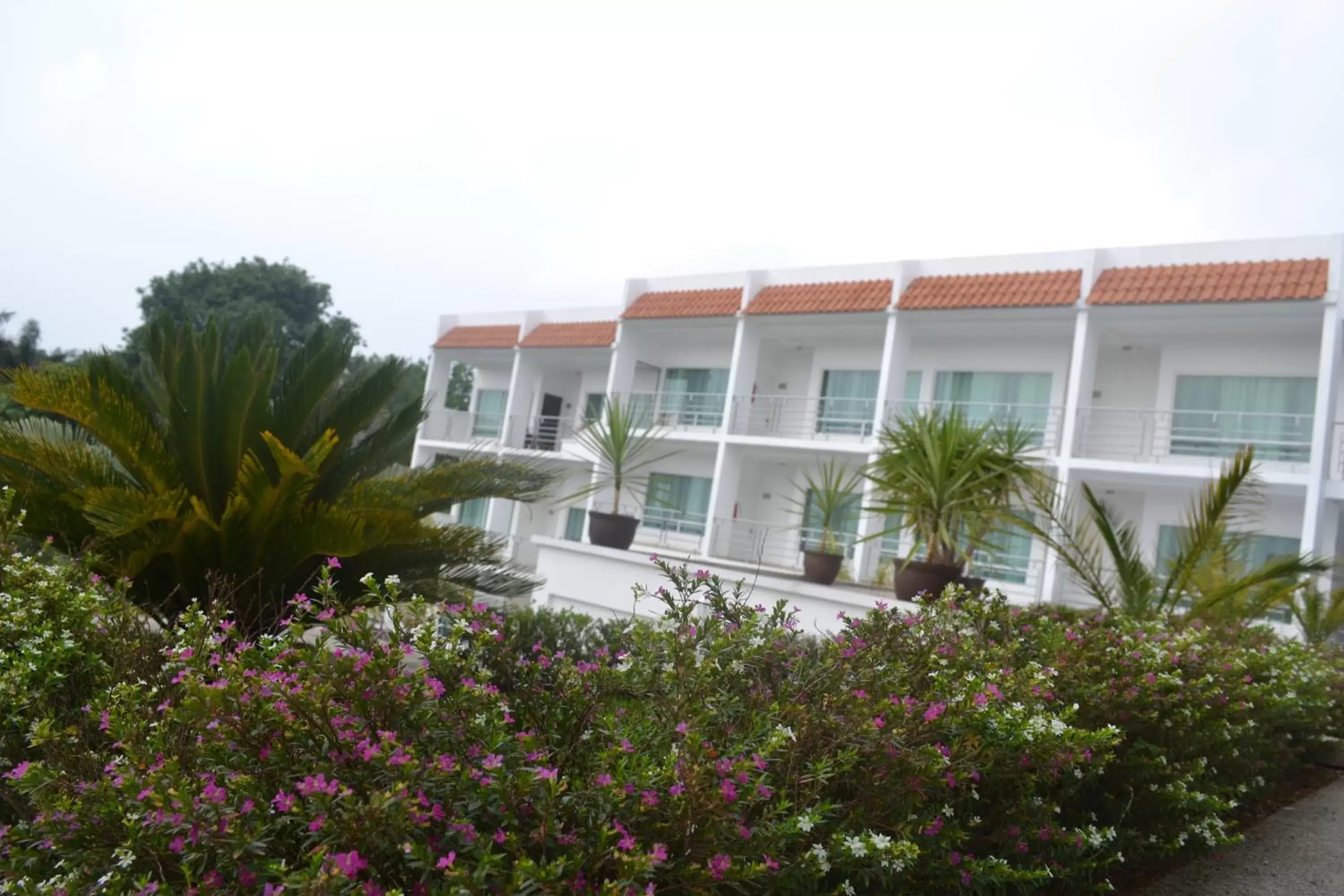 Property Building in Hotel Casablanca Xicotepec