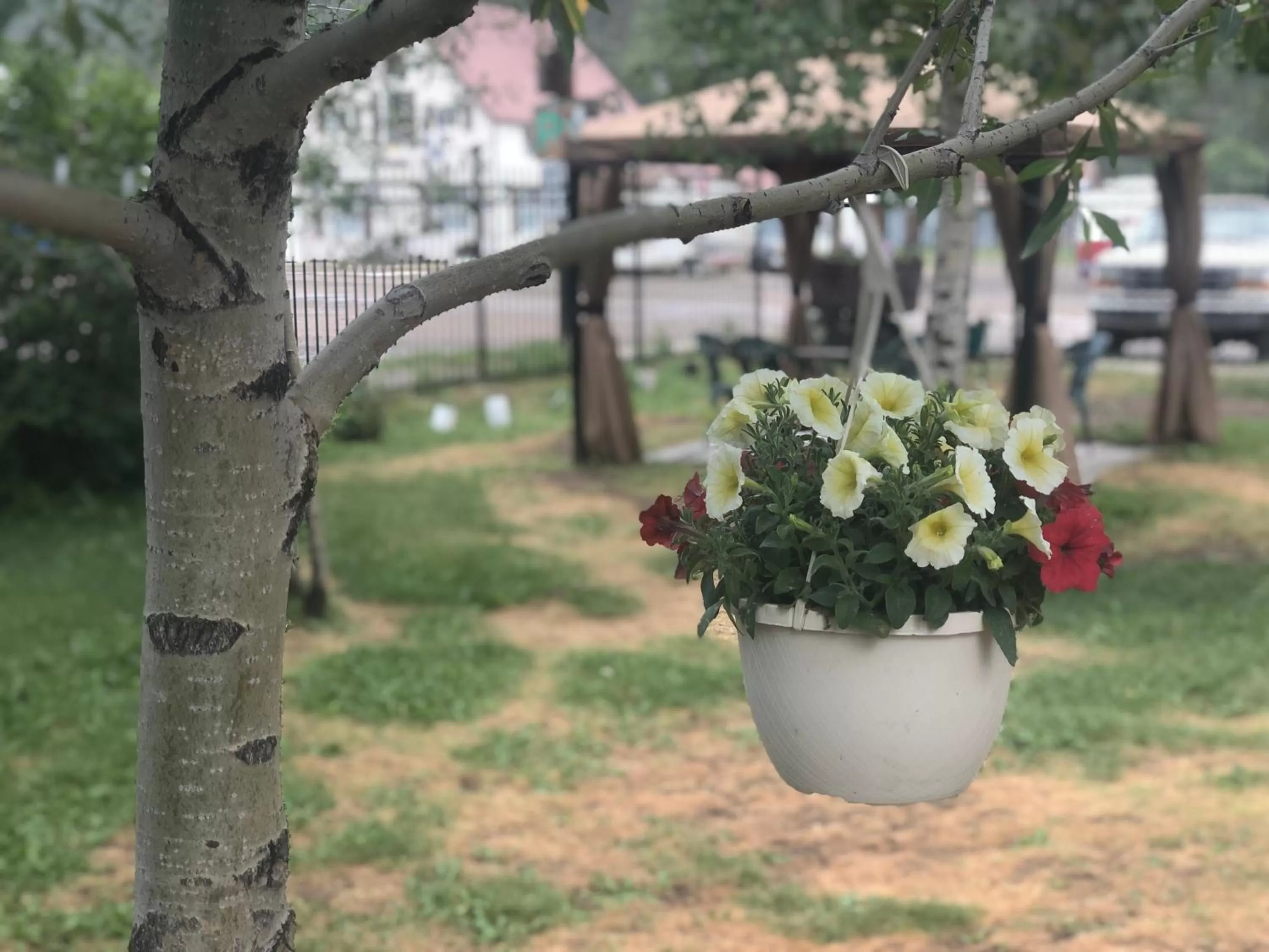 Property building in Villa Dallavalle Inn