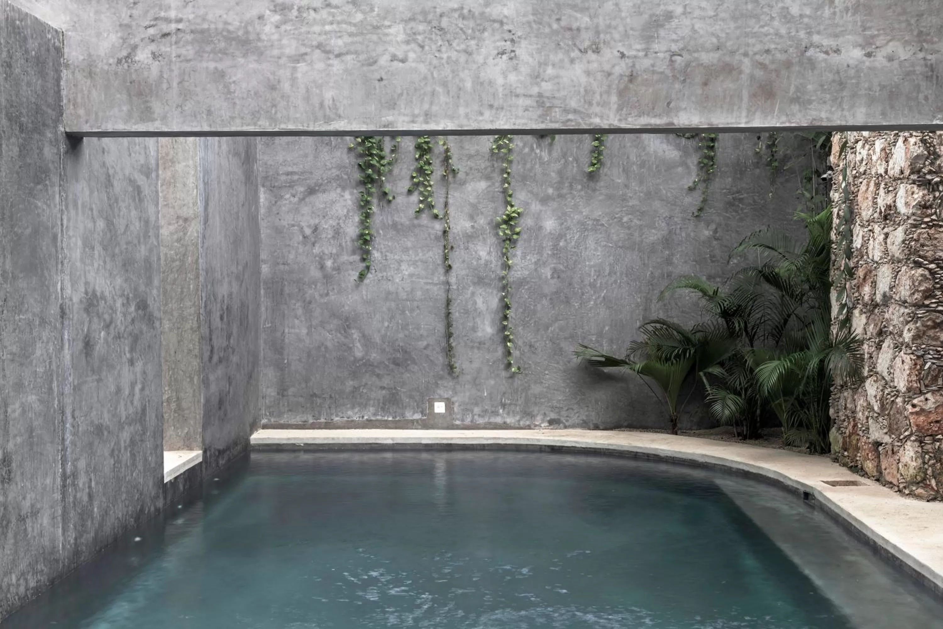 Swimming Pool in Hotel Casa Hormiga