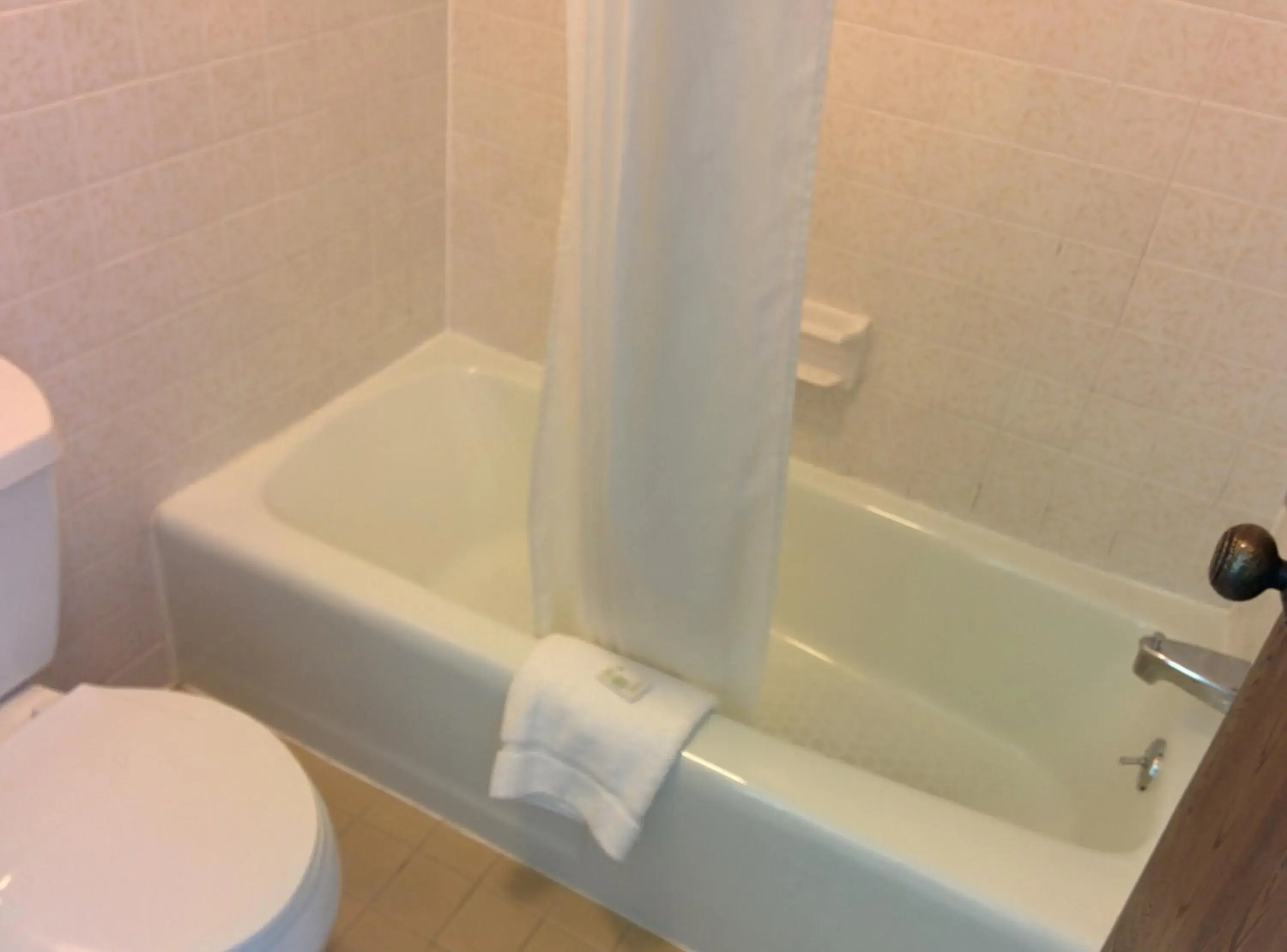 Hot Tub, Bathroom in Economy Inn Toledo-Perrysburg
