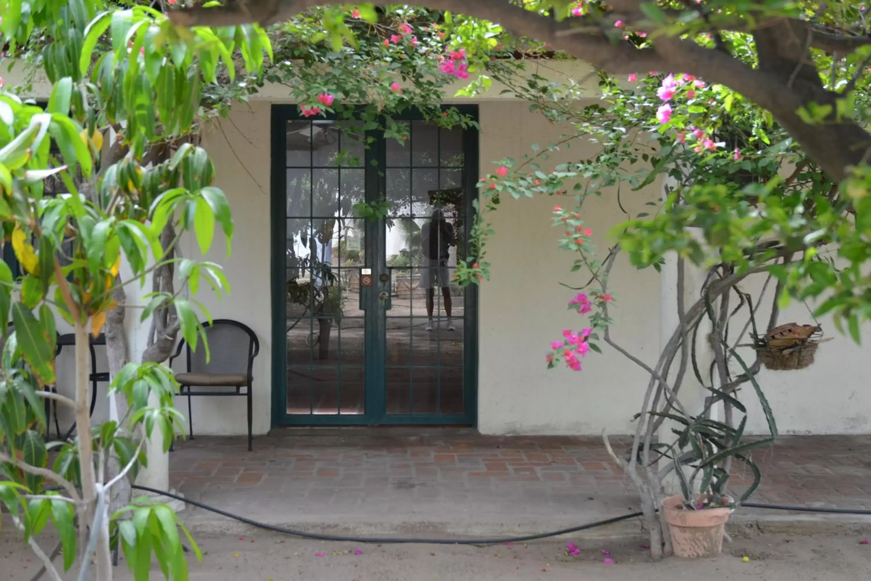 Patio/Outdoor Area in Casabuena B&B