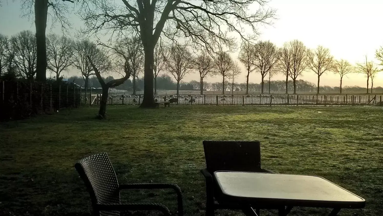 View (from property/room), Garden in 't Rond Bargie