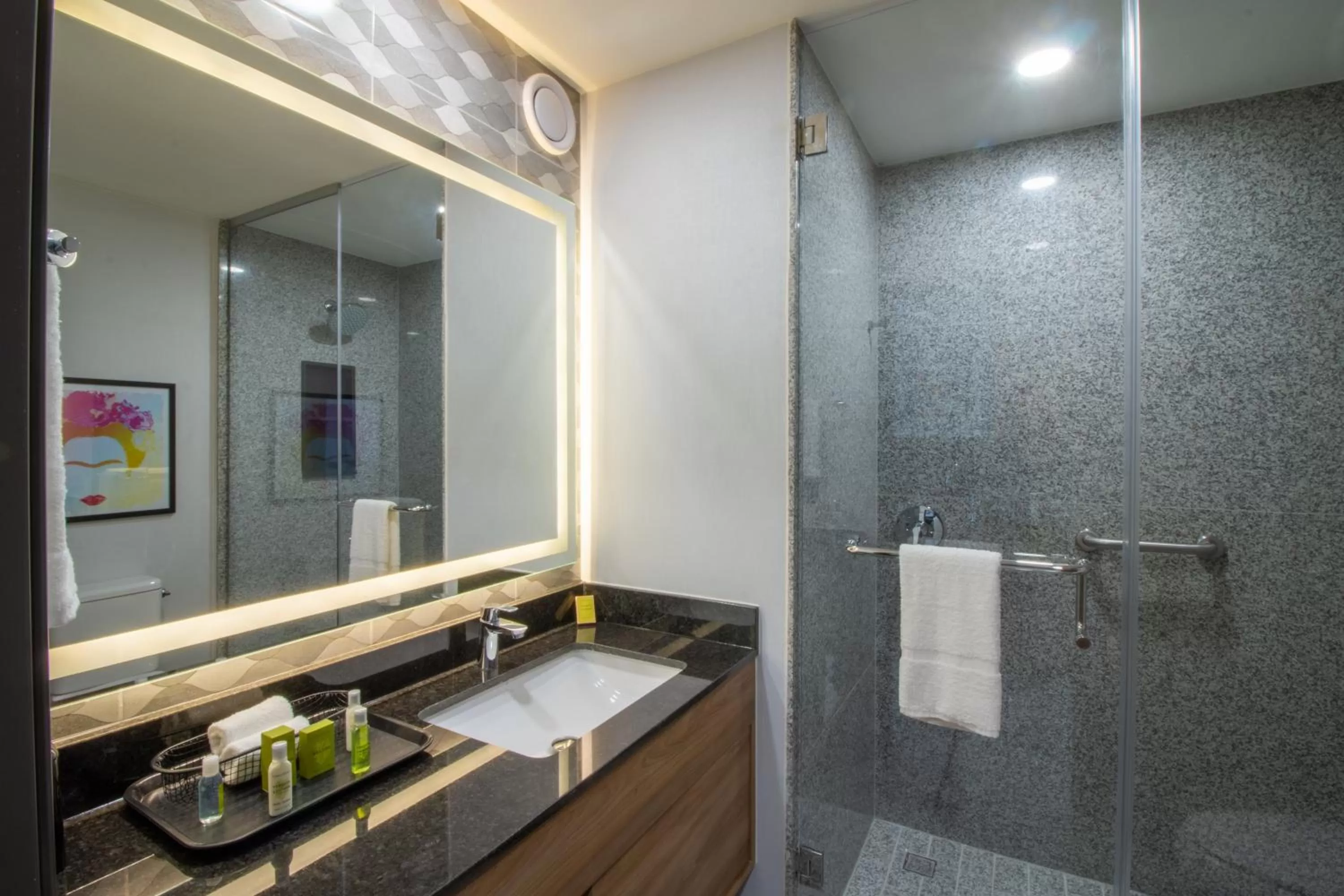 Bathroom in Hampton by Hilton Aguascalientes Downtown