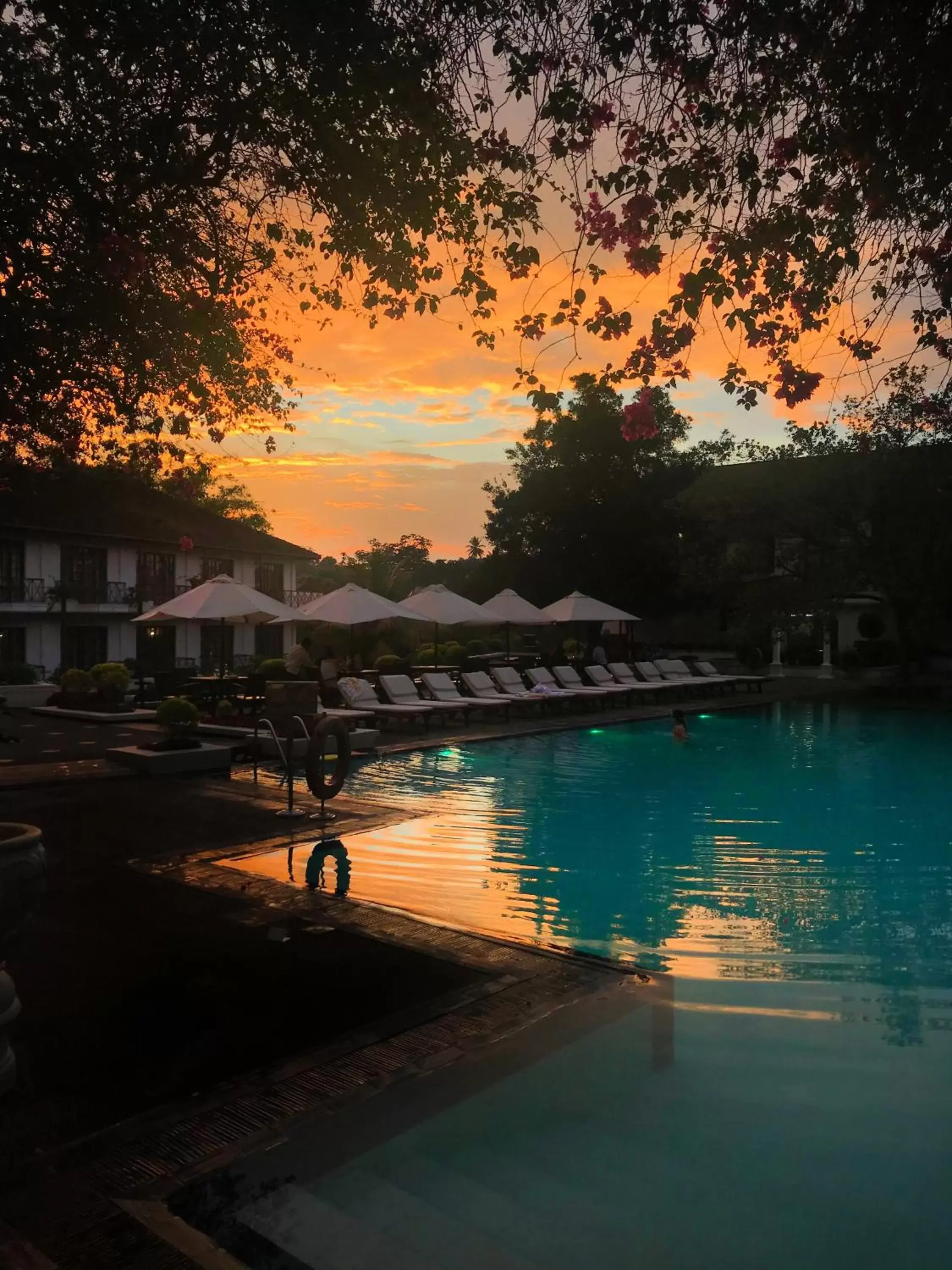 Sunset, Swimming Pool in Mahaweli Reach Hotel