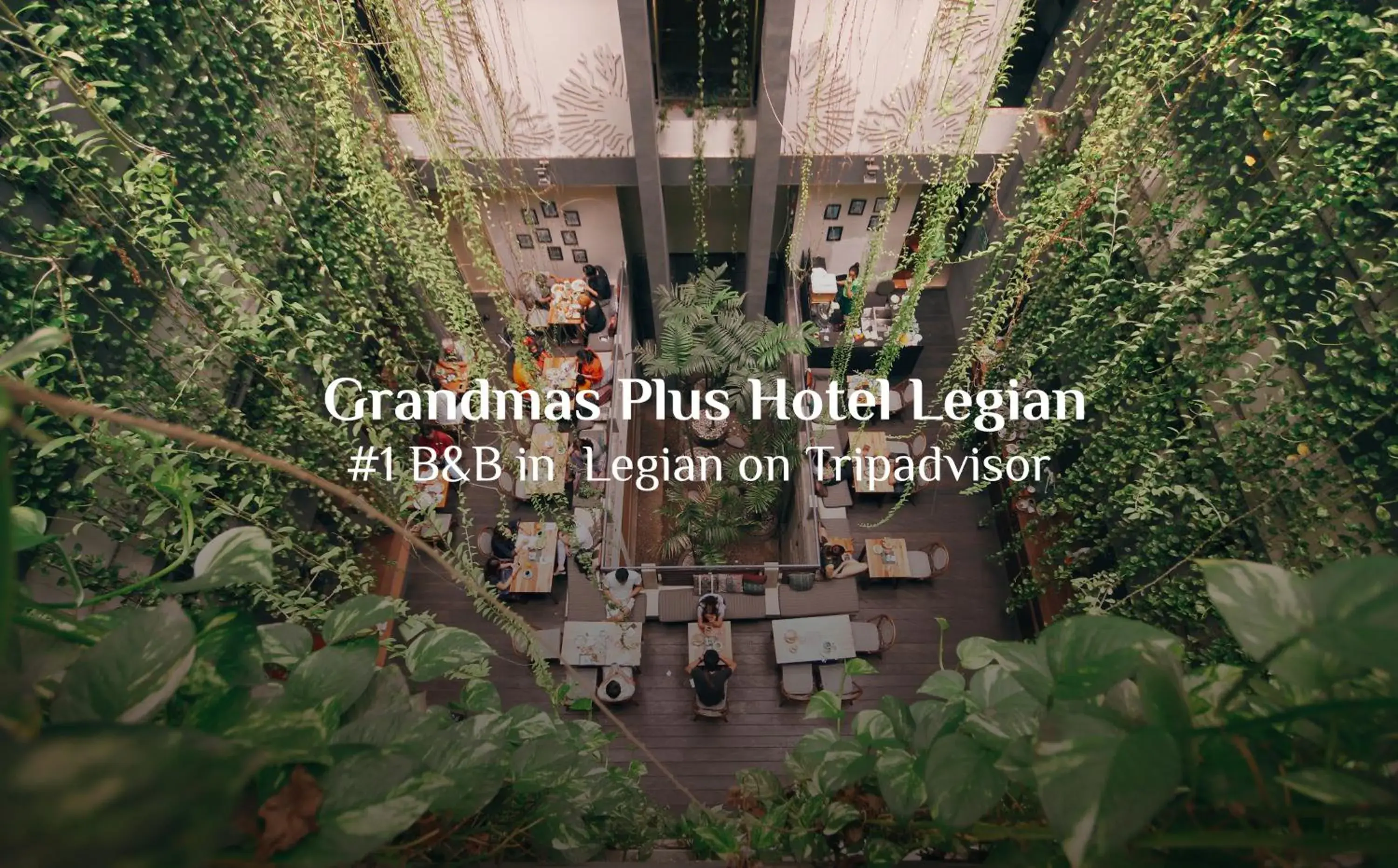 Certificate/Award in Grandmas Plus Hotel Legian