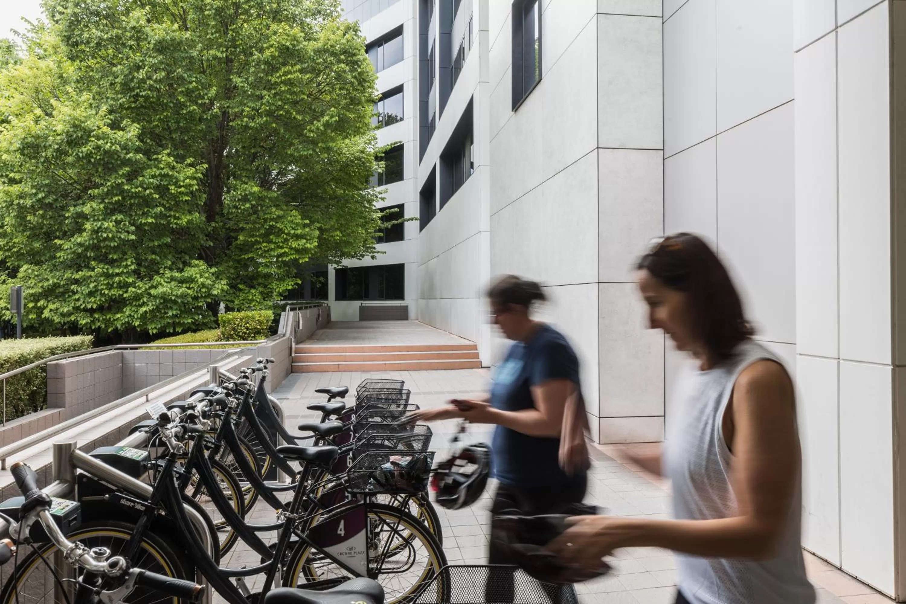 Activities in Crowne Plaza Canberra by IHG